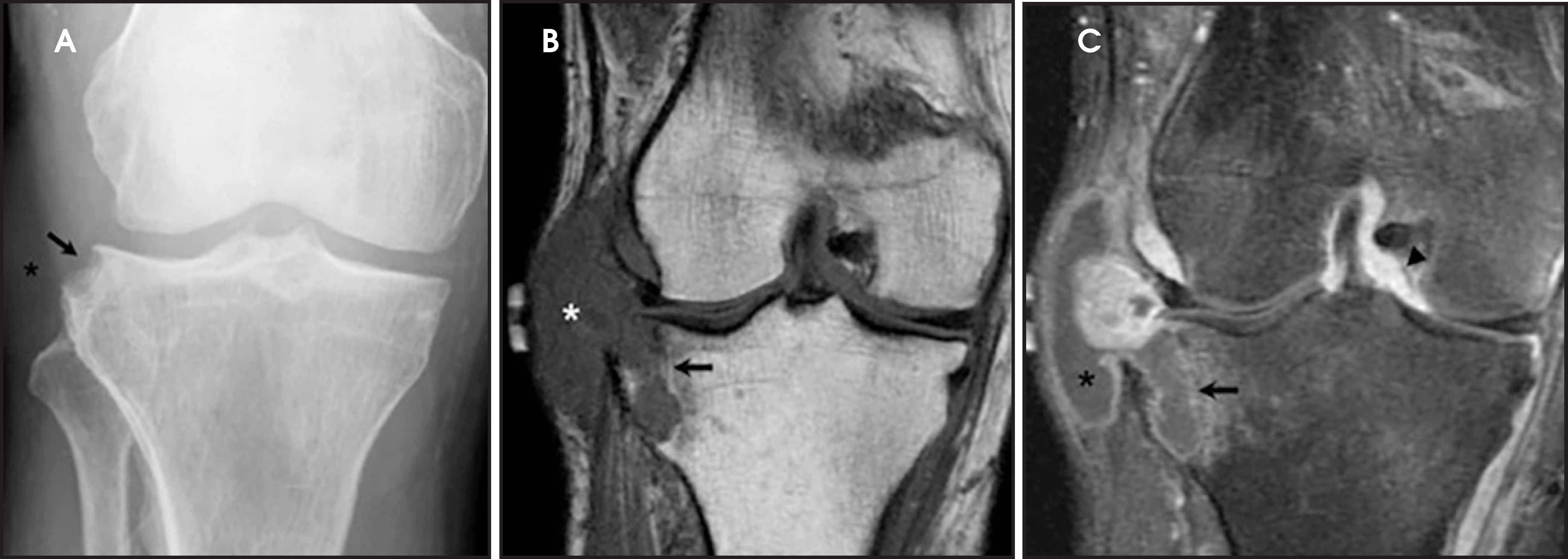 FIGURE 18.