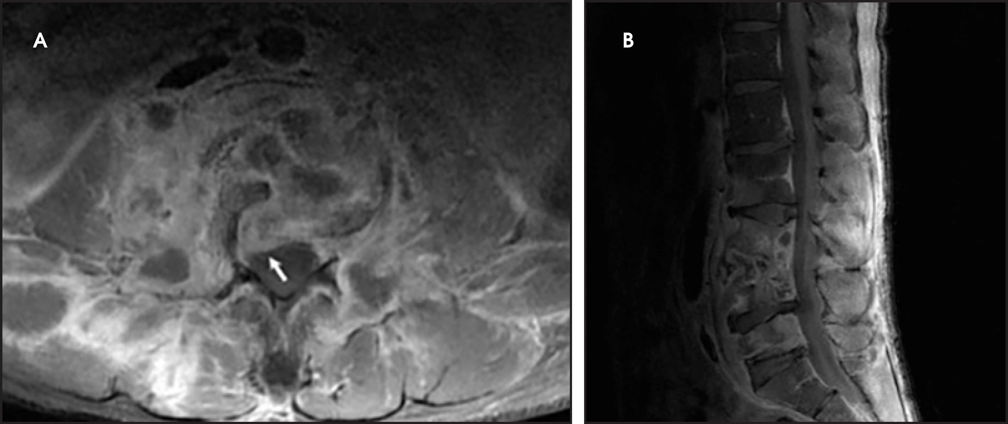 FIGURE 20.