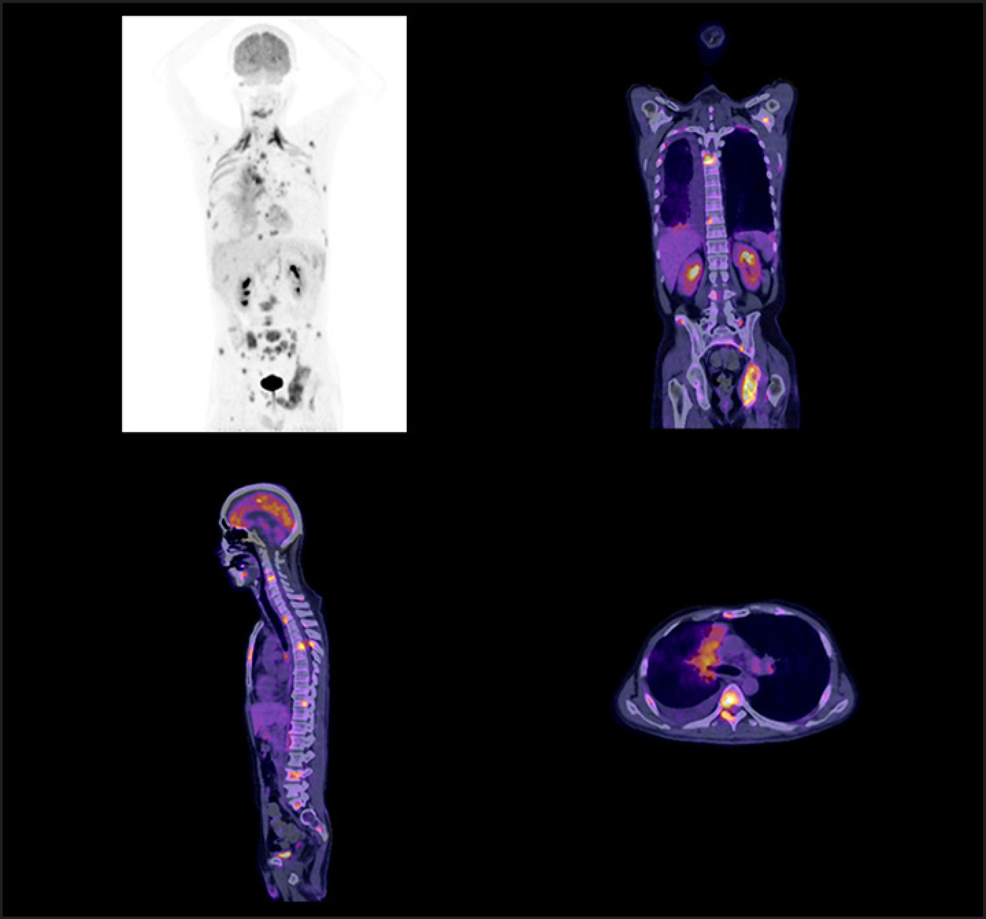 FIGURE 1.