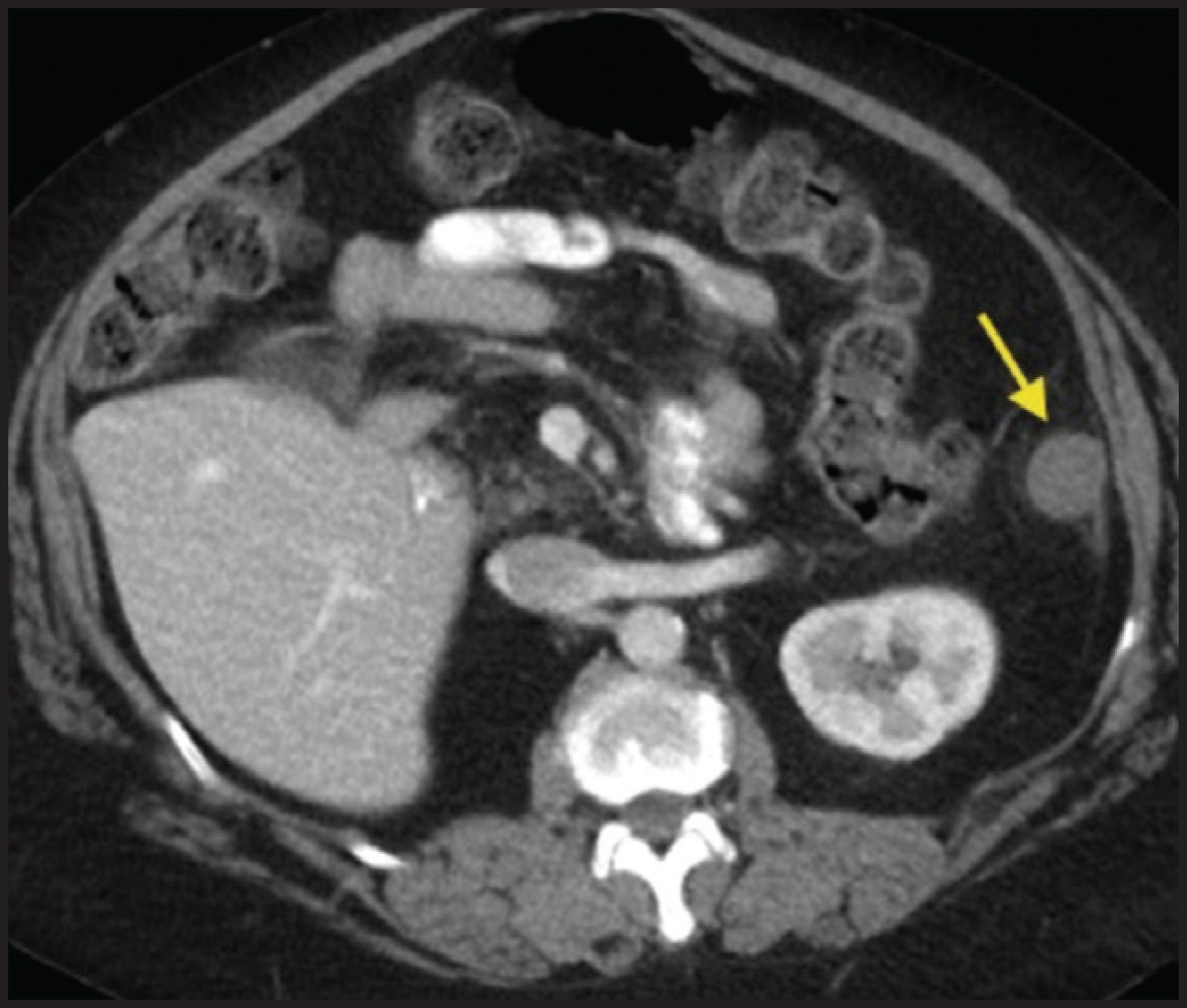 FIGURE 1.