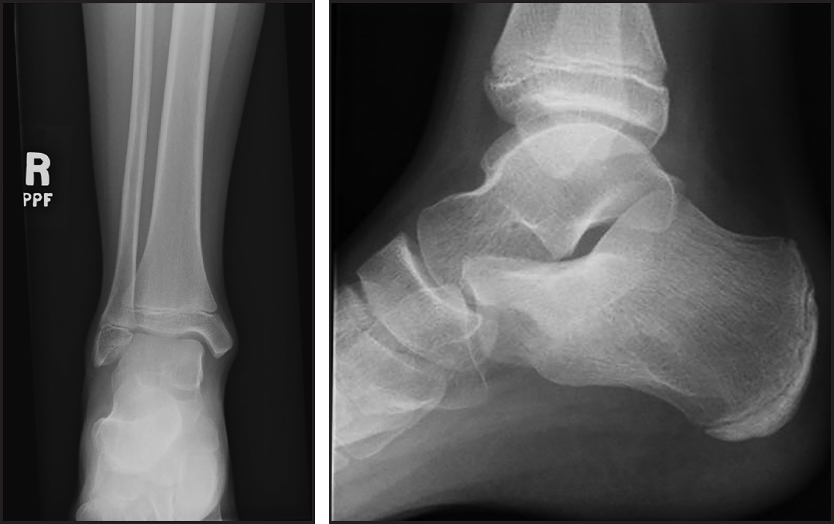 FIGURE 1.