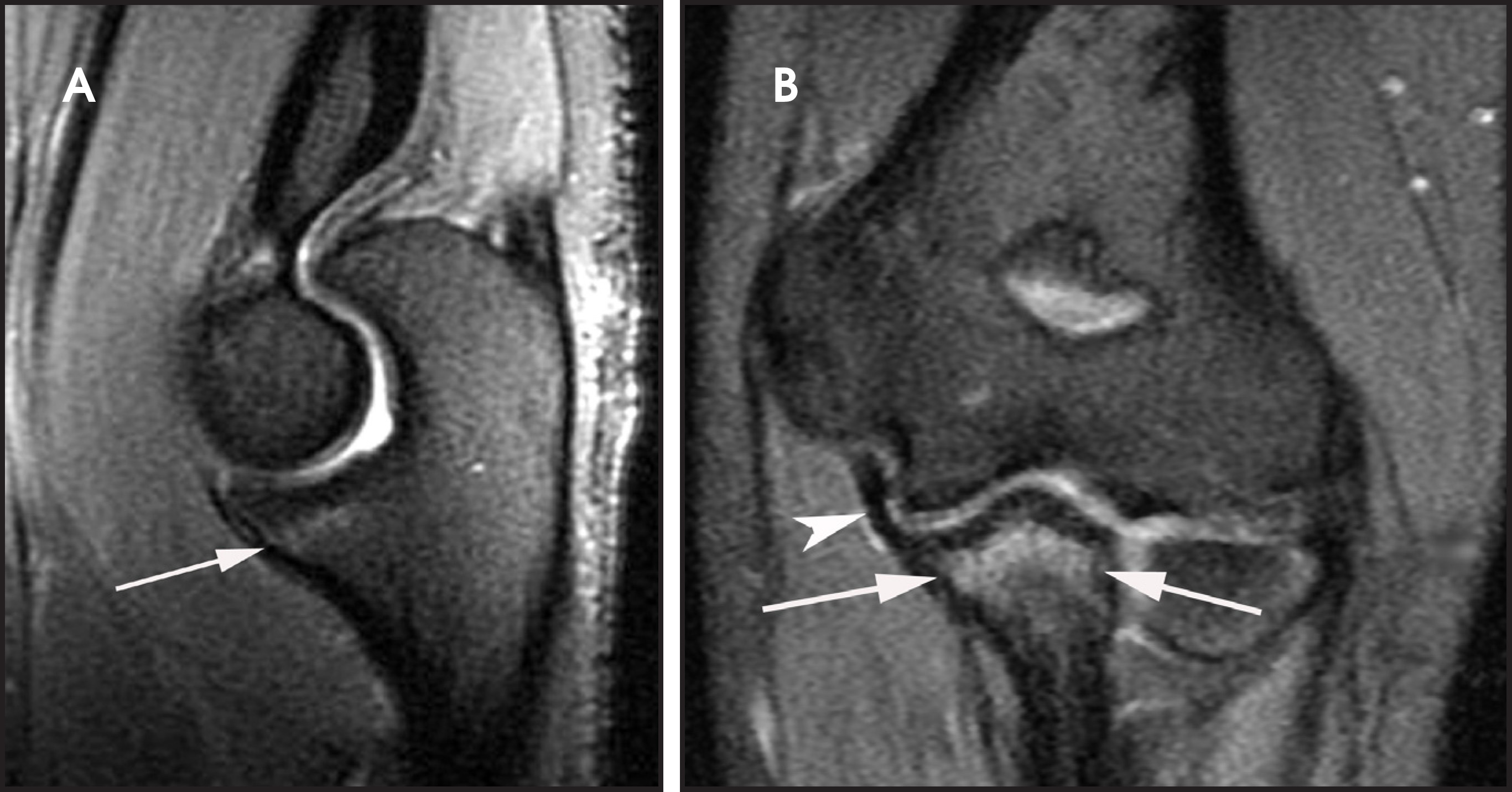 FIGURE 10.