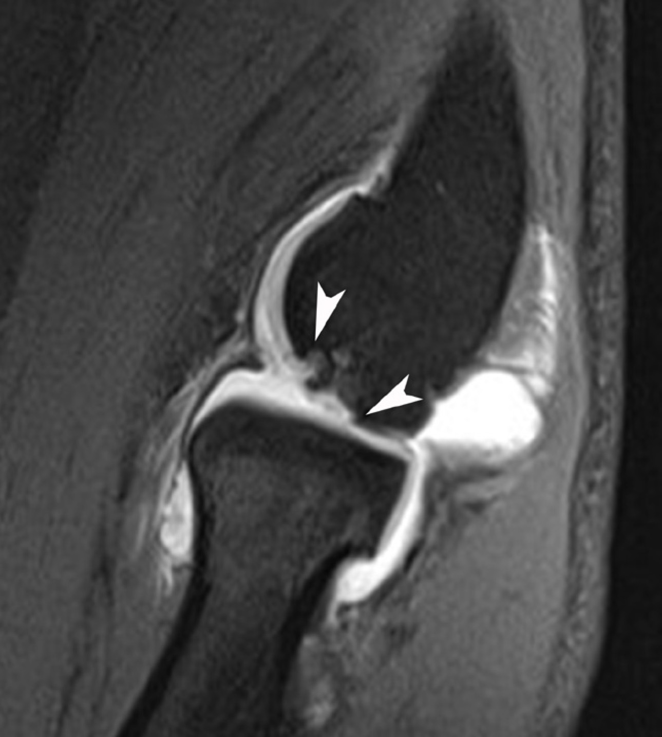 FIGURE 12.