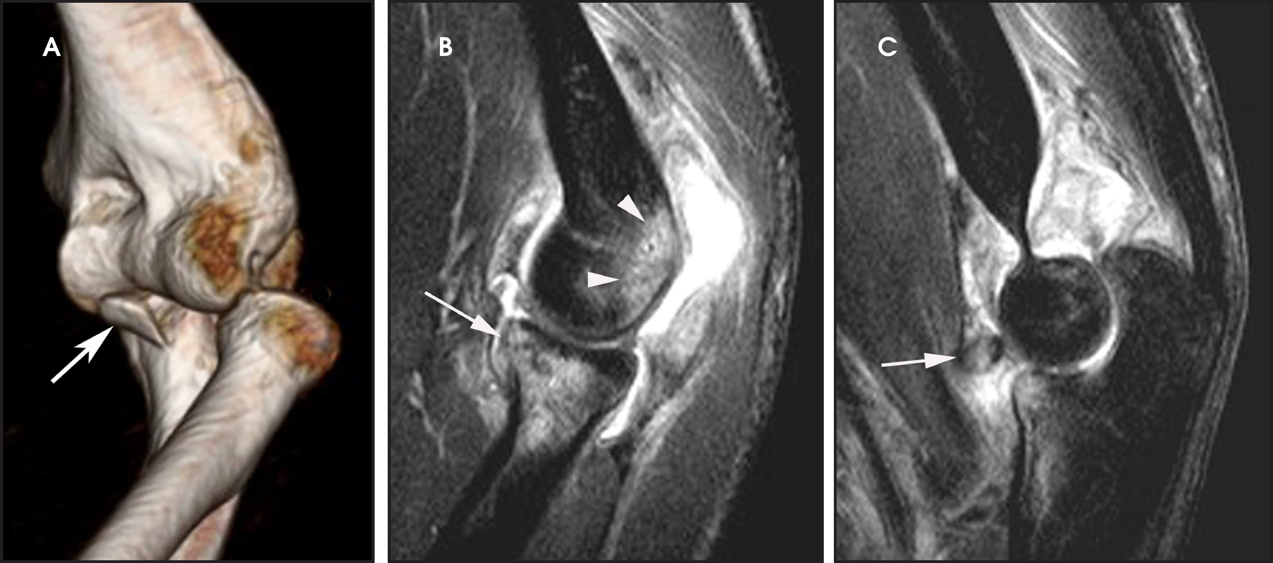 FIGURE 13.
