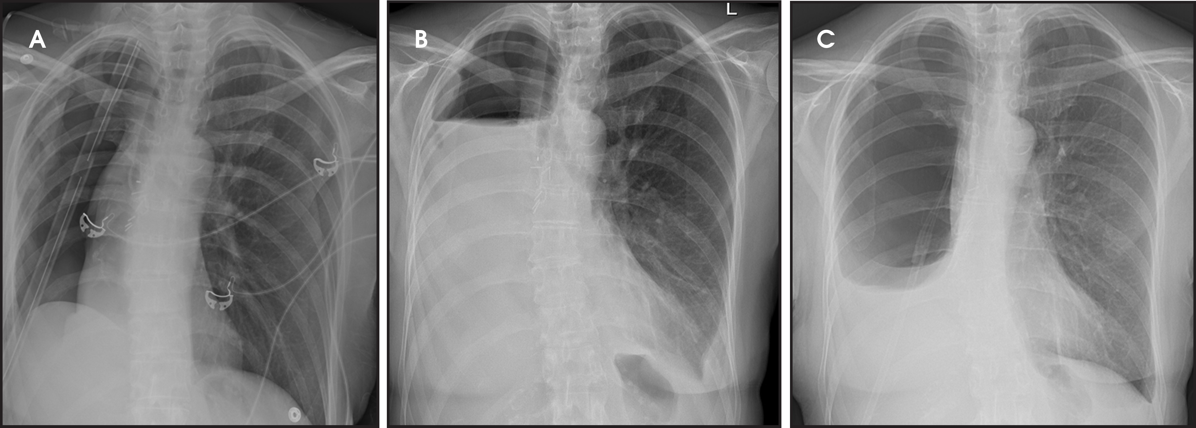 FIGURE 10.