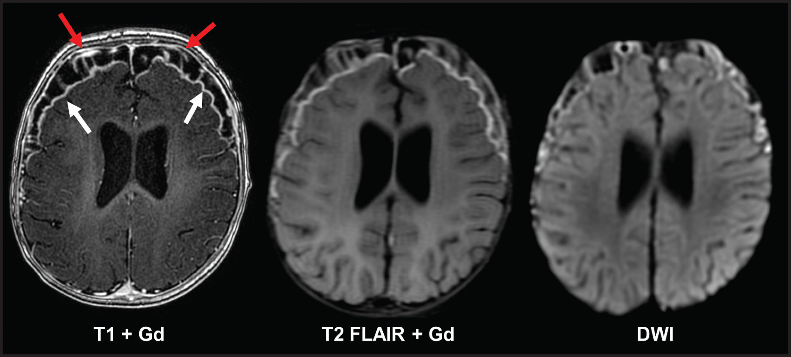FIGURE 1.