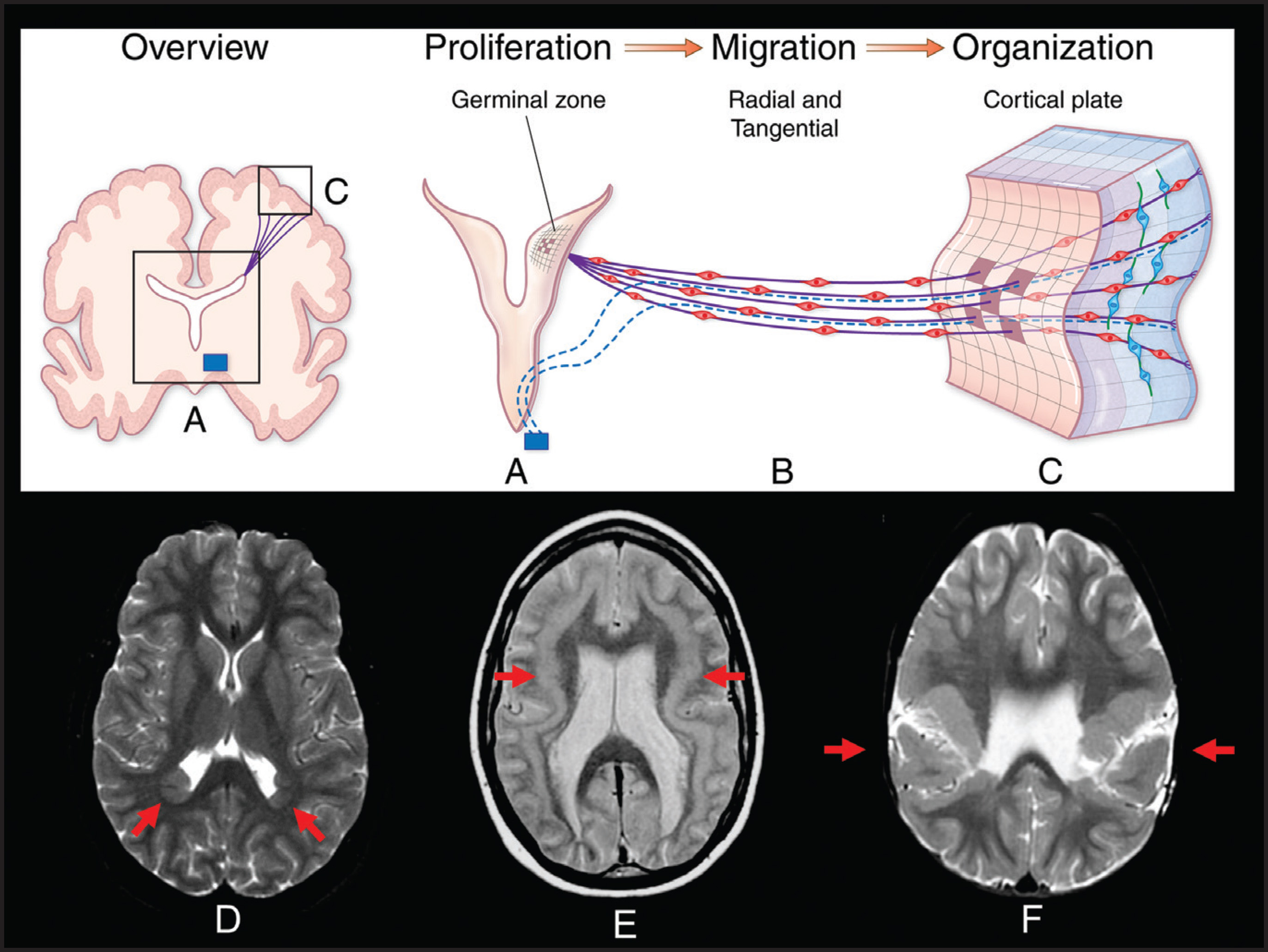 FIGURE 10.