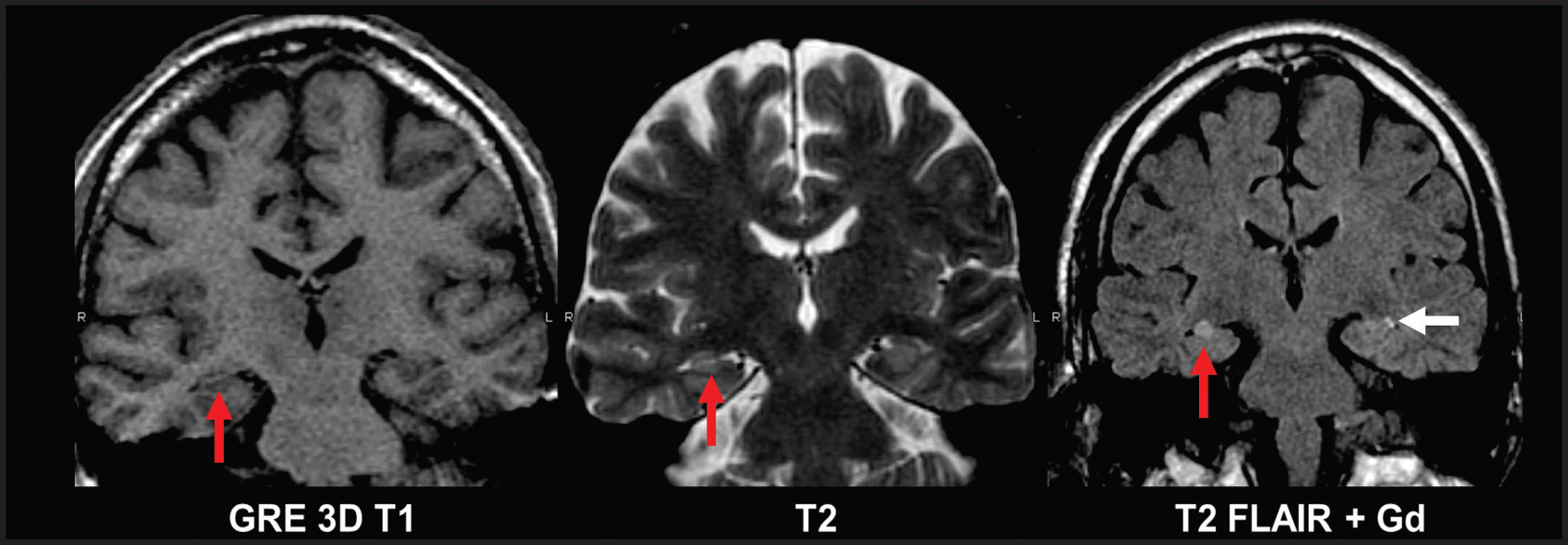 FIGURE 12.