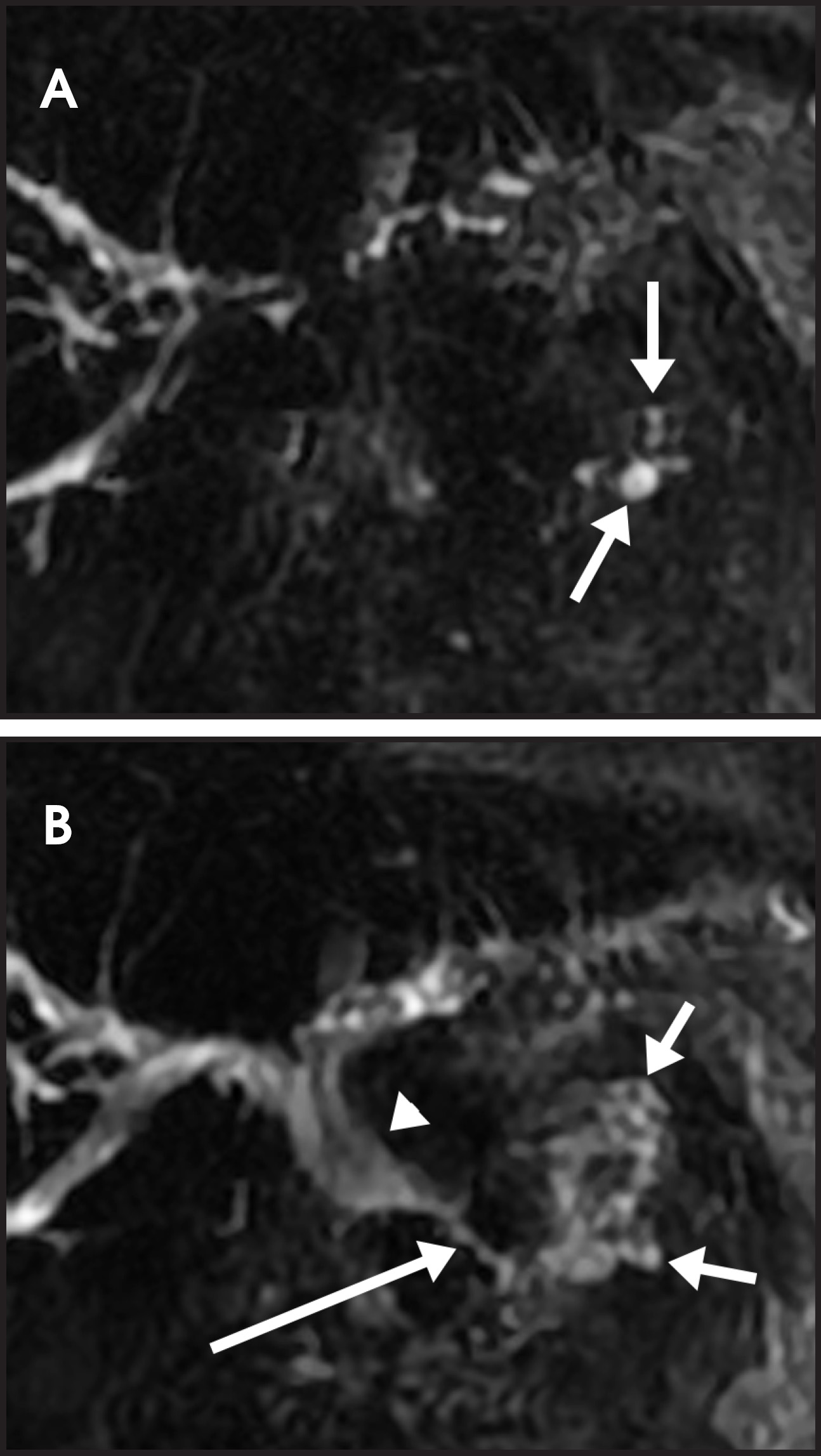 FIGURE 7.