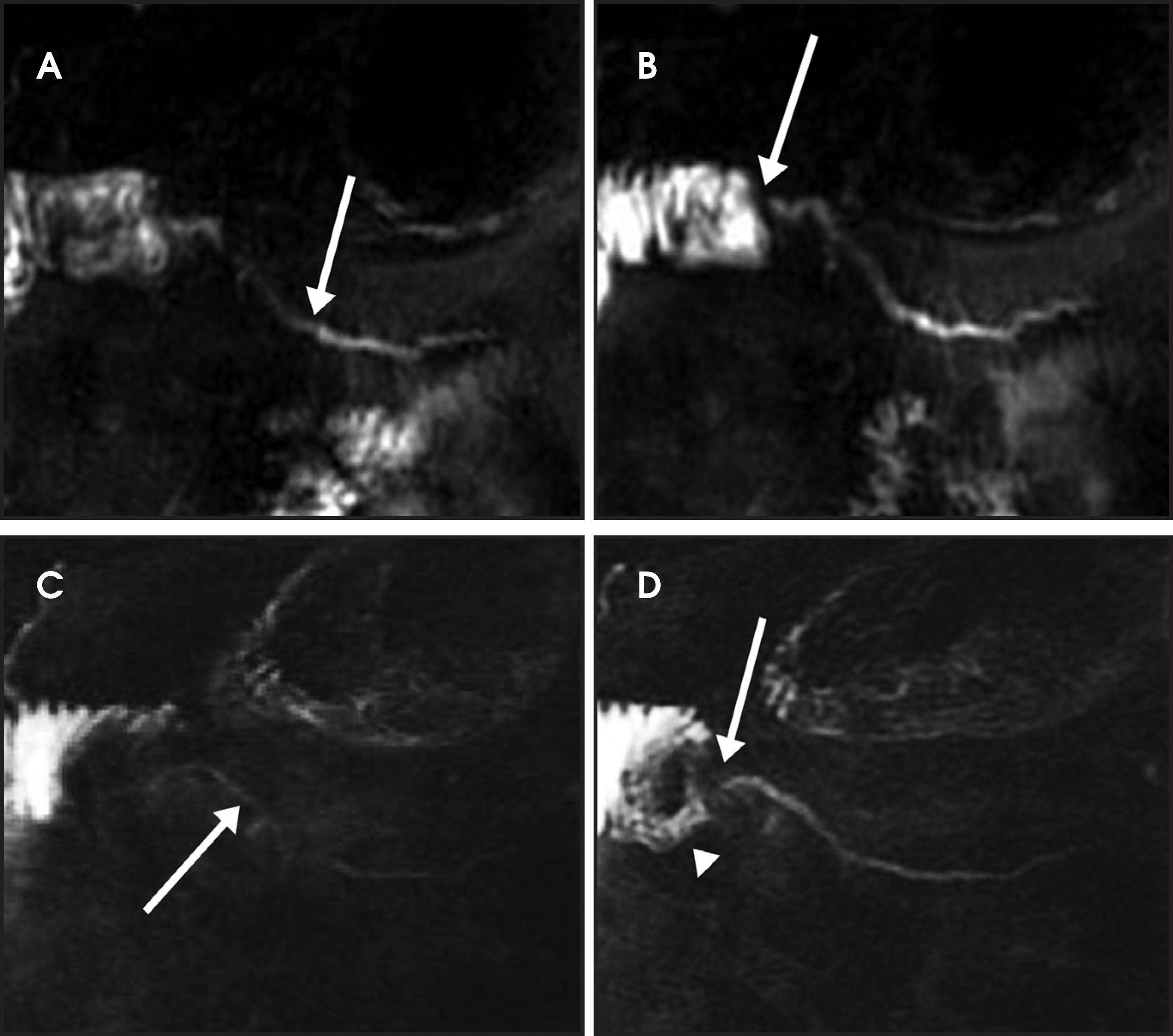 FIGURE 9.