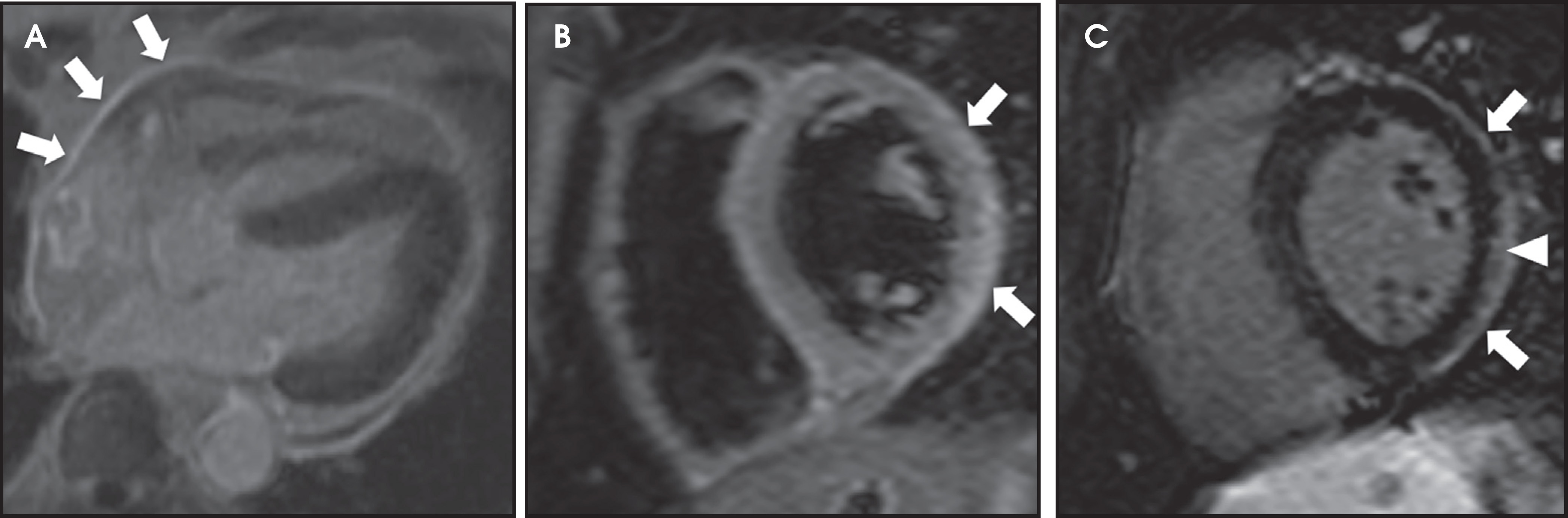 FIGURE 1.