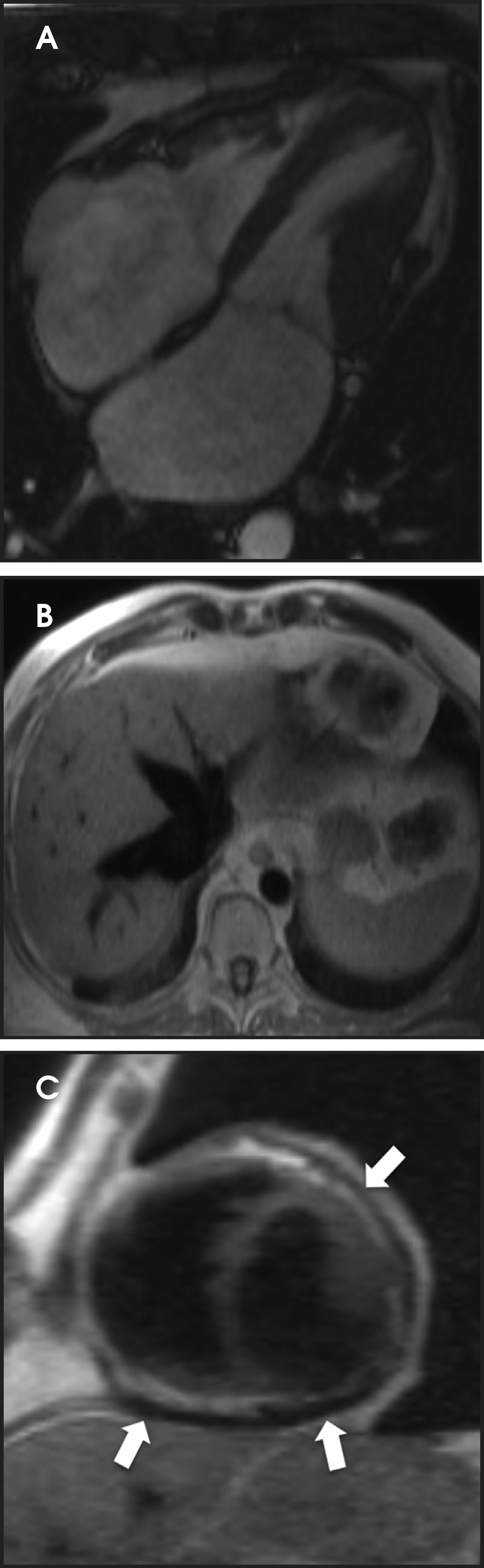 FIGURE 4.