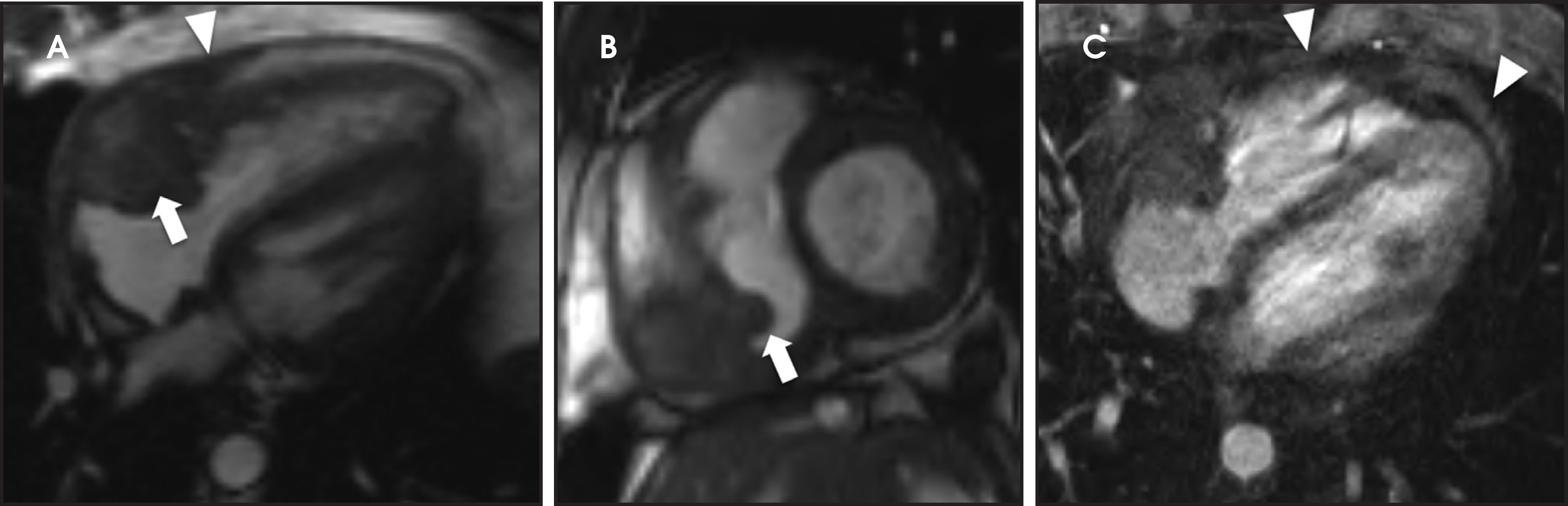 FIGURE 11.