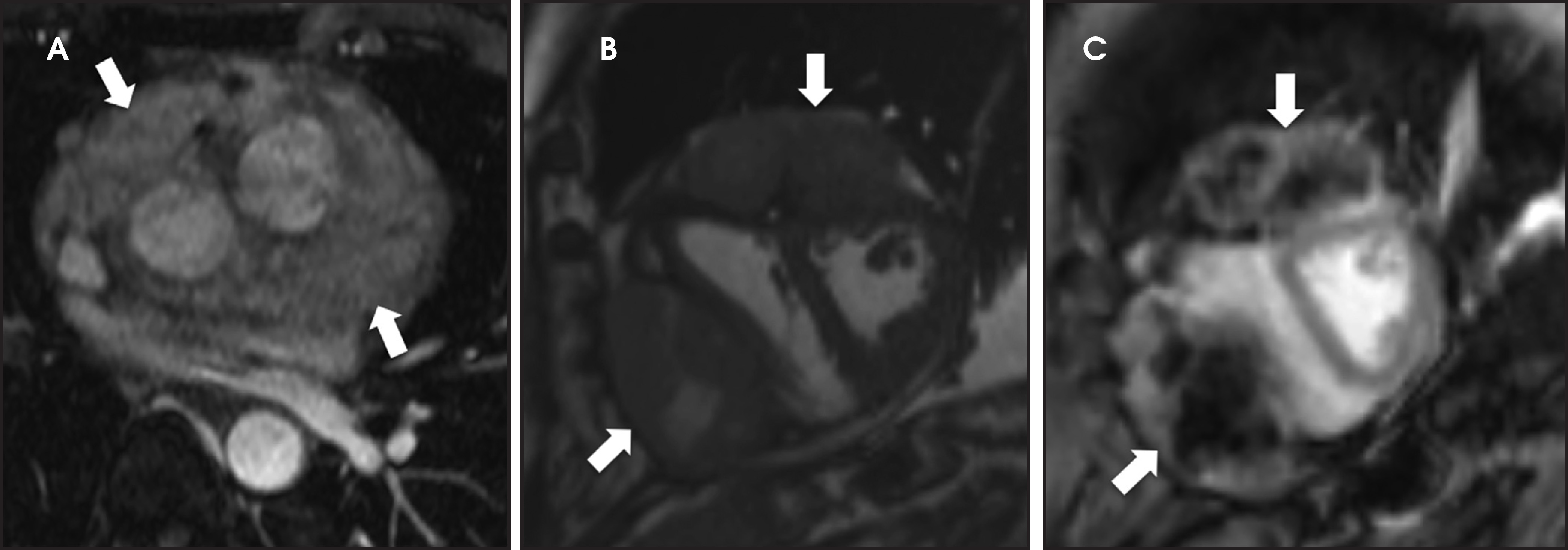 FIGURE 12.