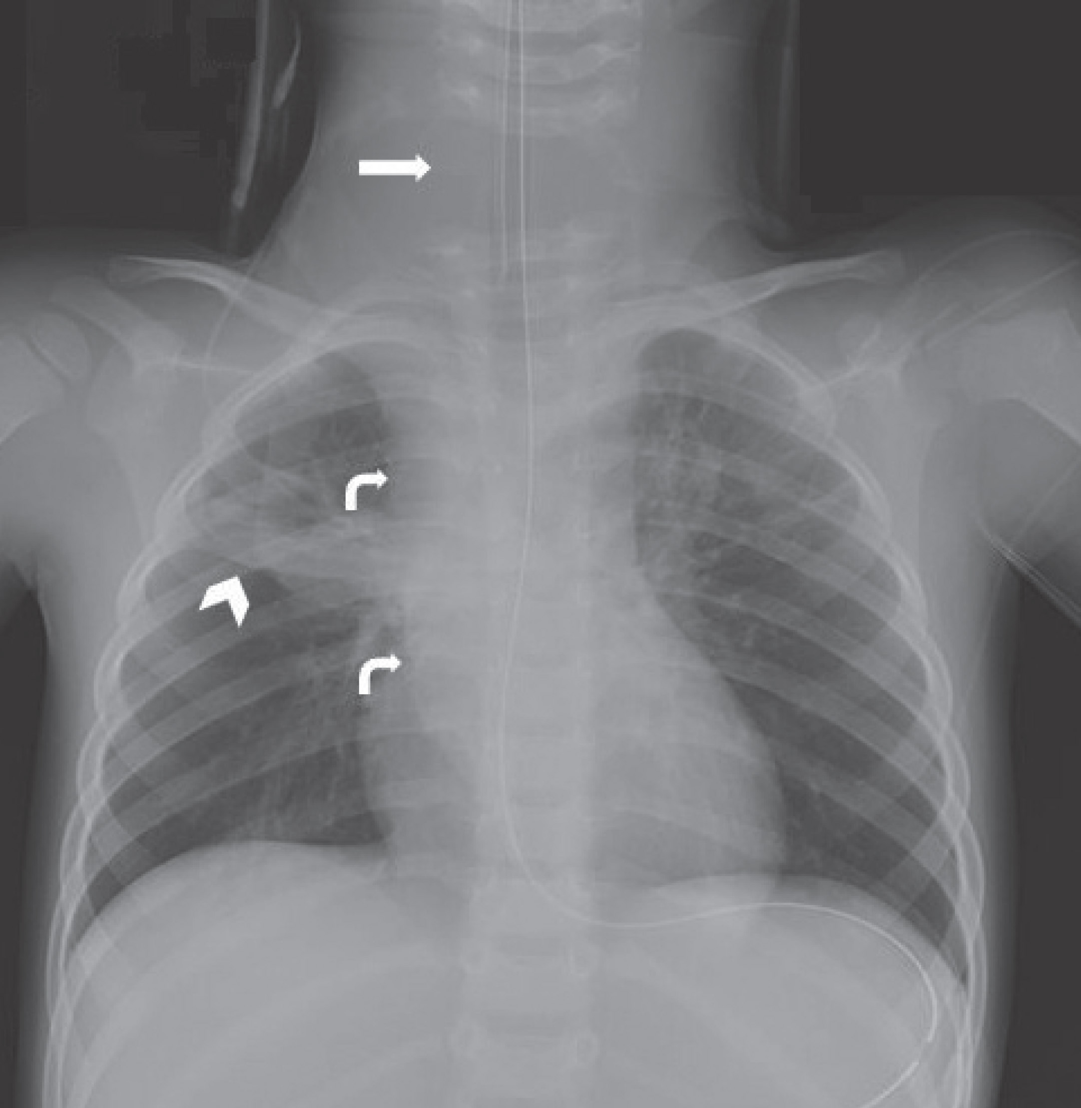 FIGURE 1.