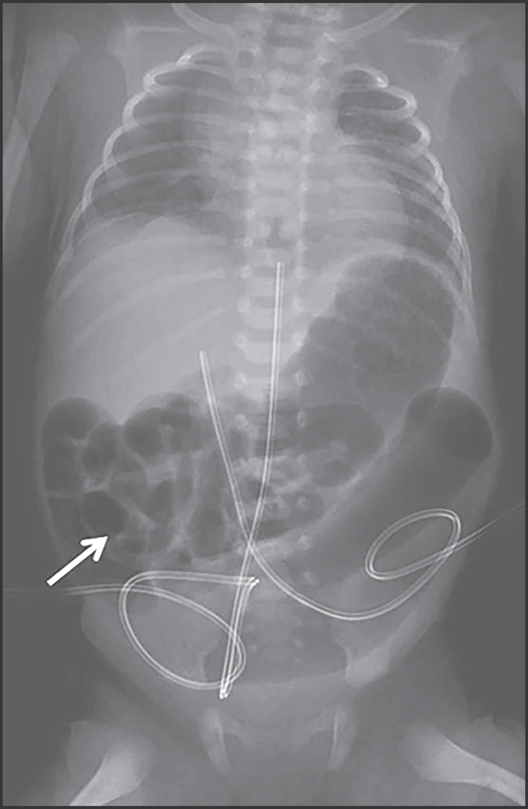 FIGURE 1.