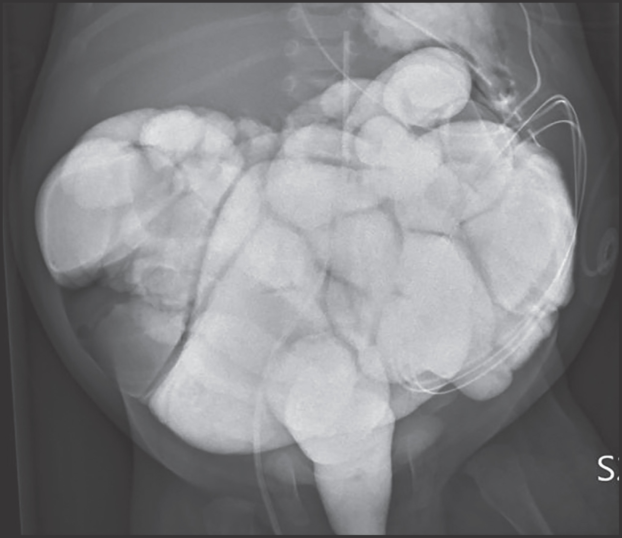 FIGURE 4.