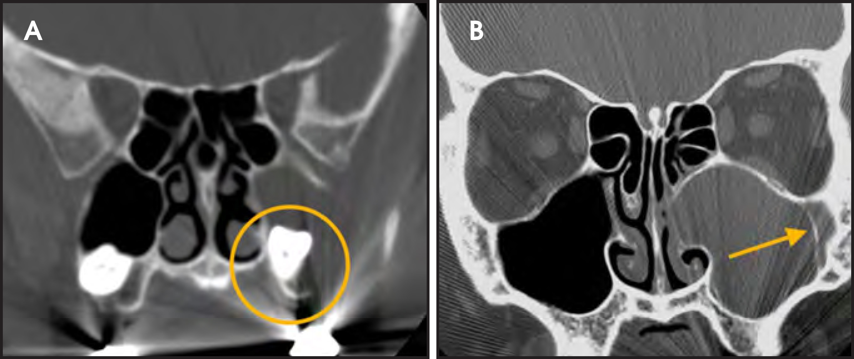 FIGURE 7.