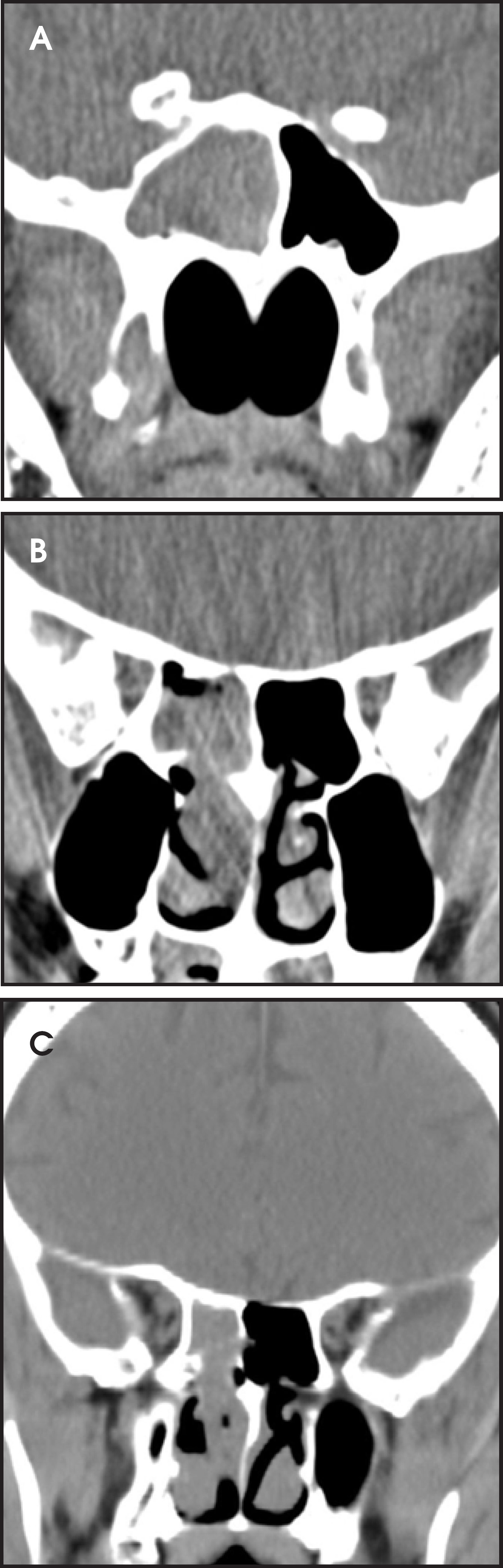 FIGURE 10.