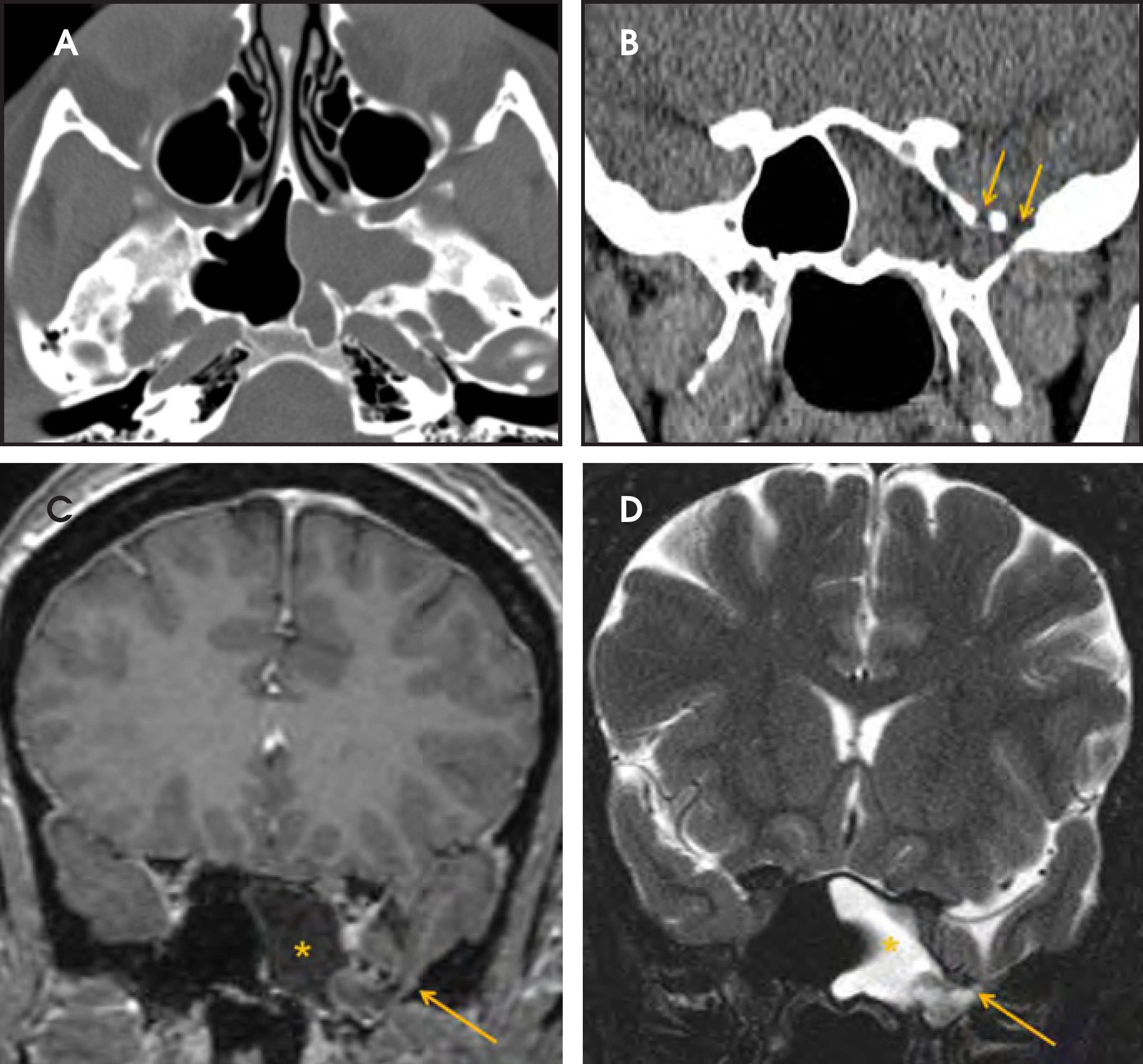FIGURE 12.