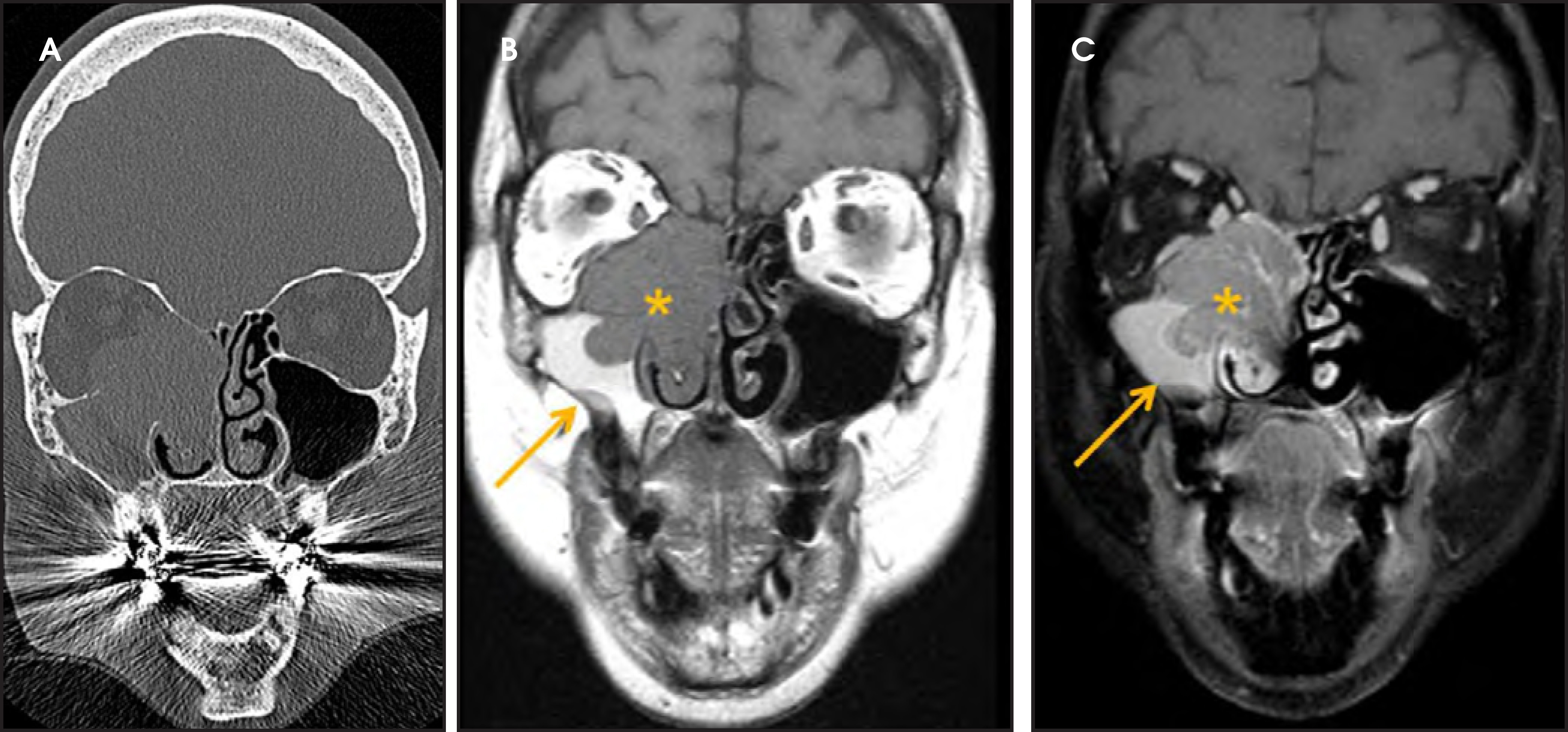 FIGURE 15.