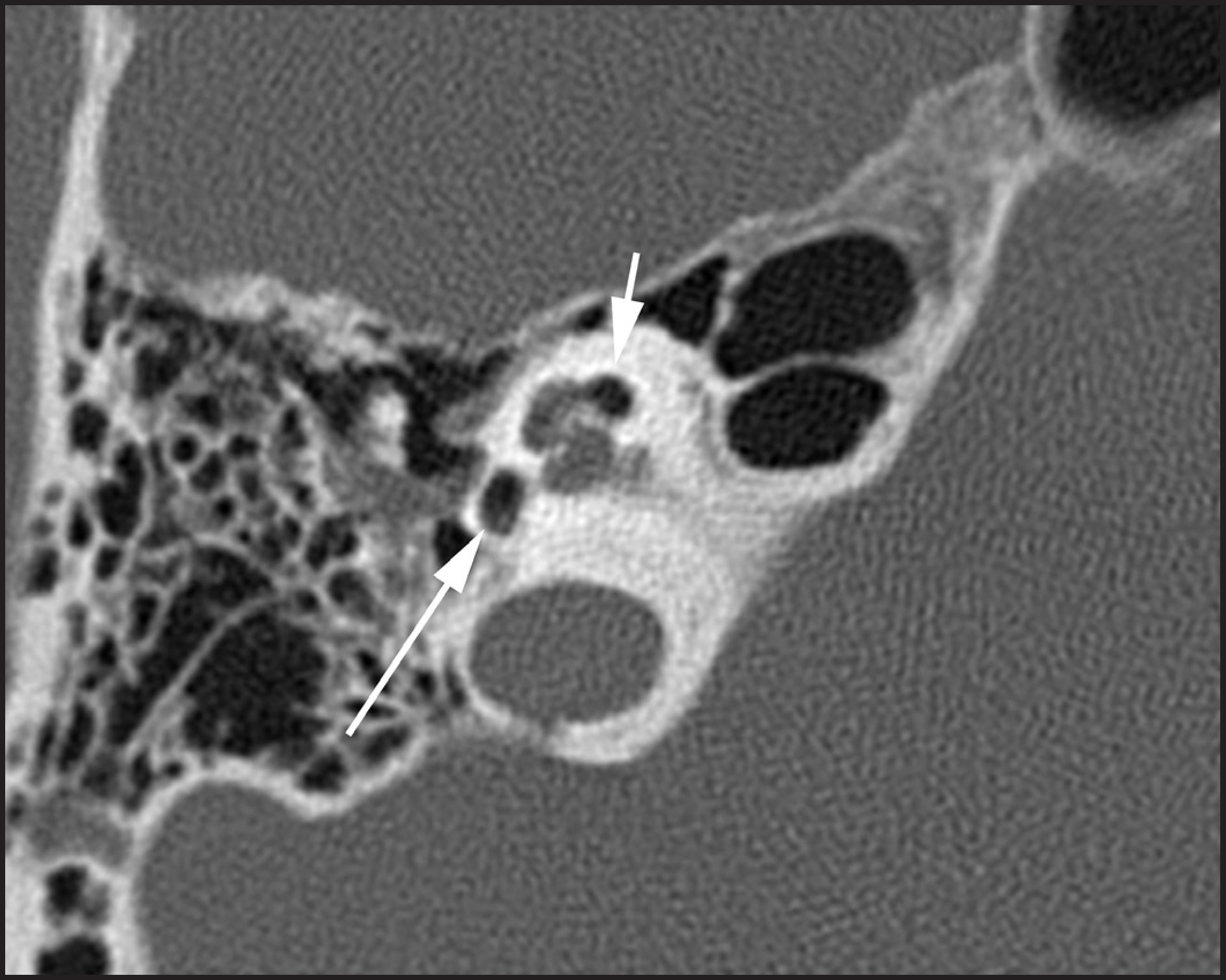 FIGURE 10.