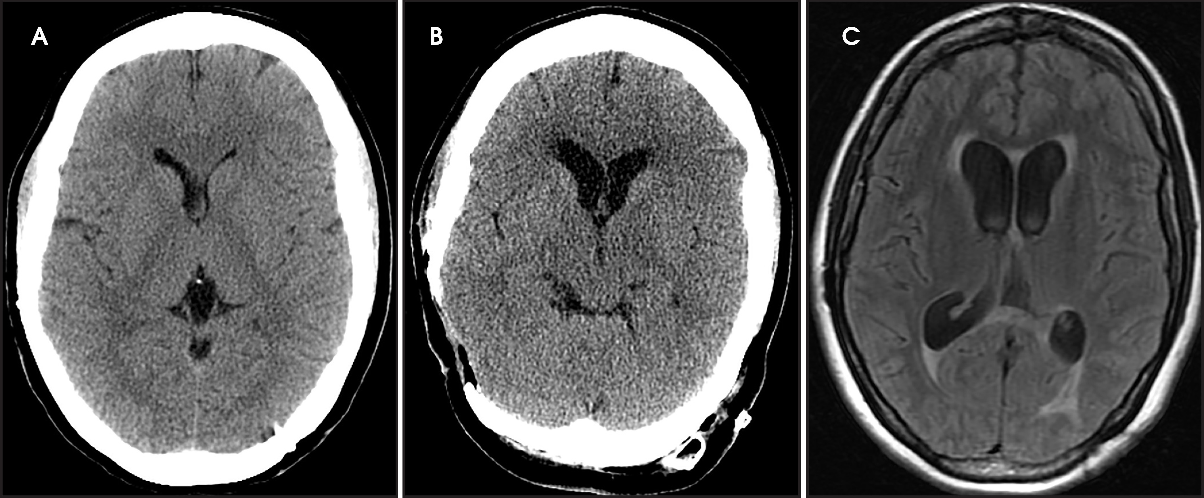 FIGURE 18.