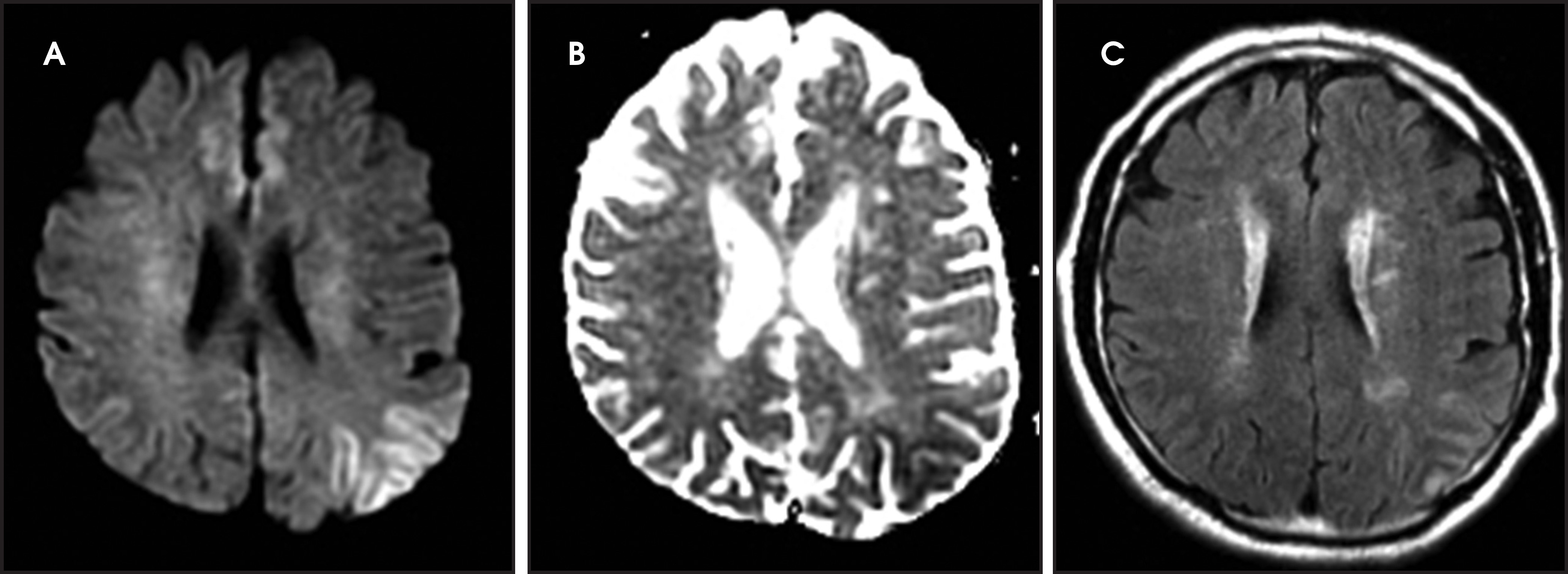FIGURE 2.