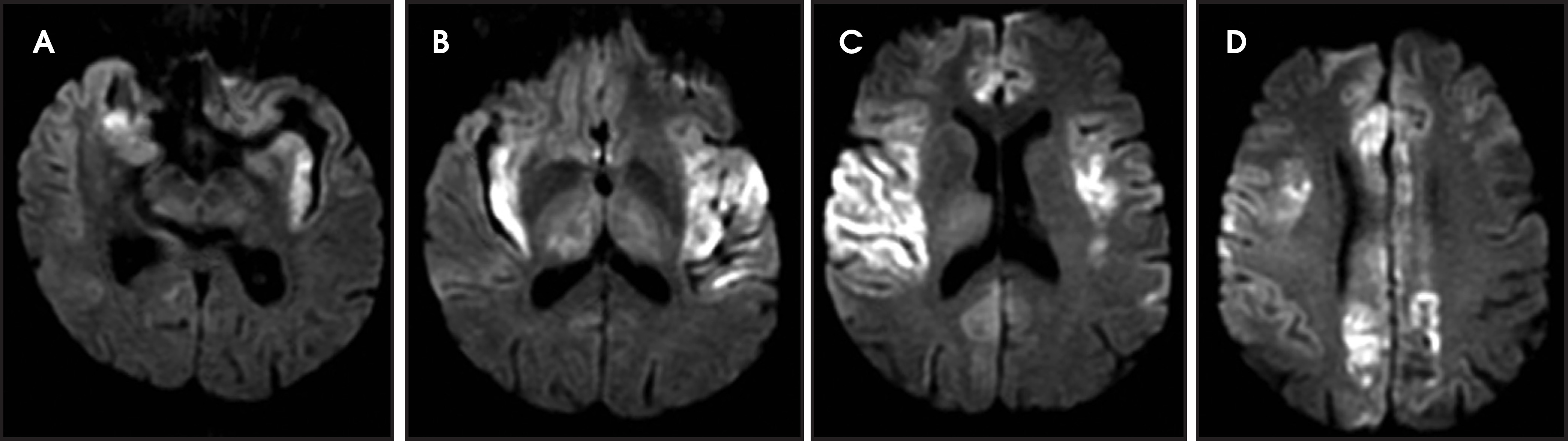 FIGURE 4.