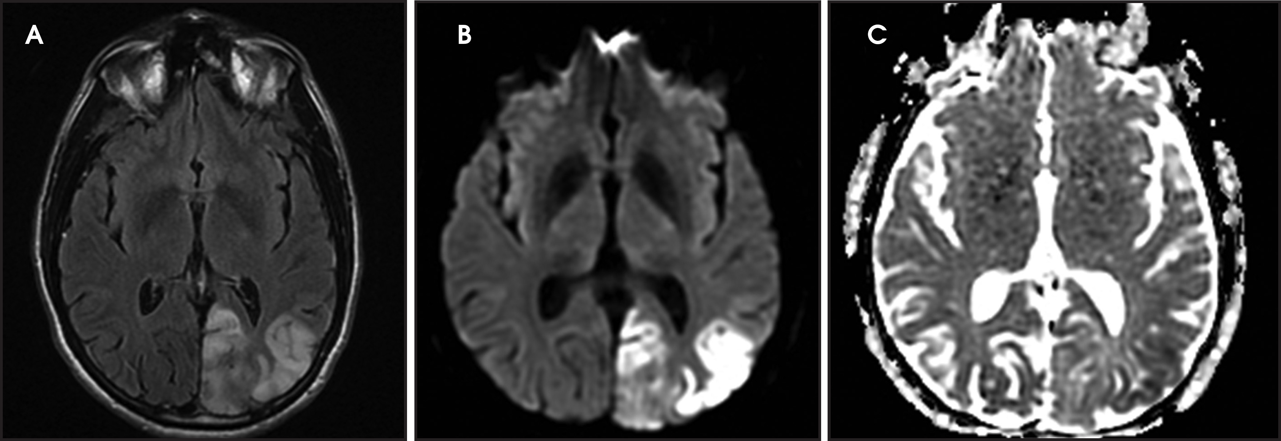 FIGURE 6.