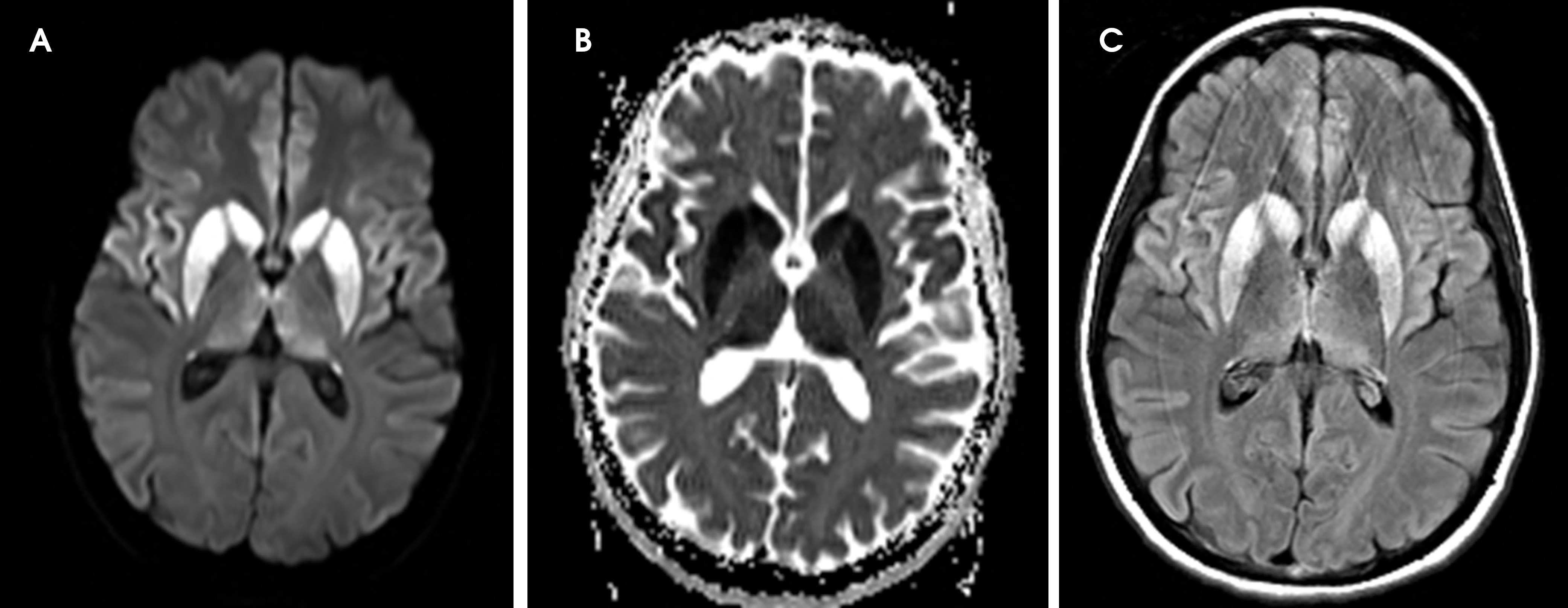 FIGURE 10.