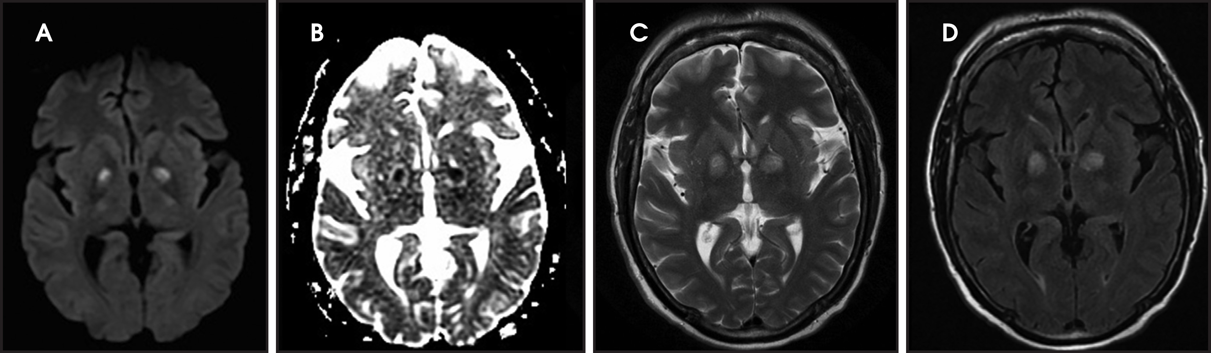 FIGURE 12.