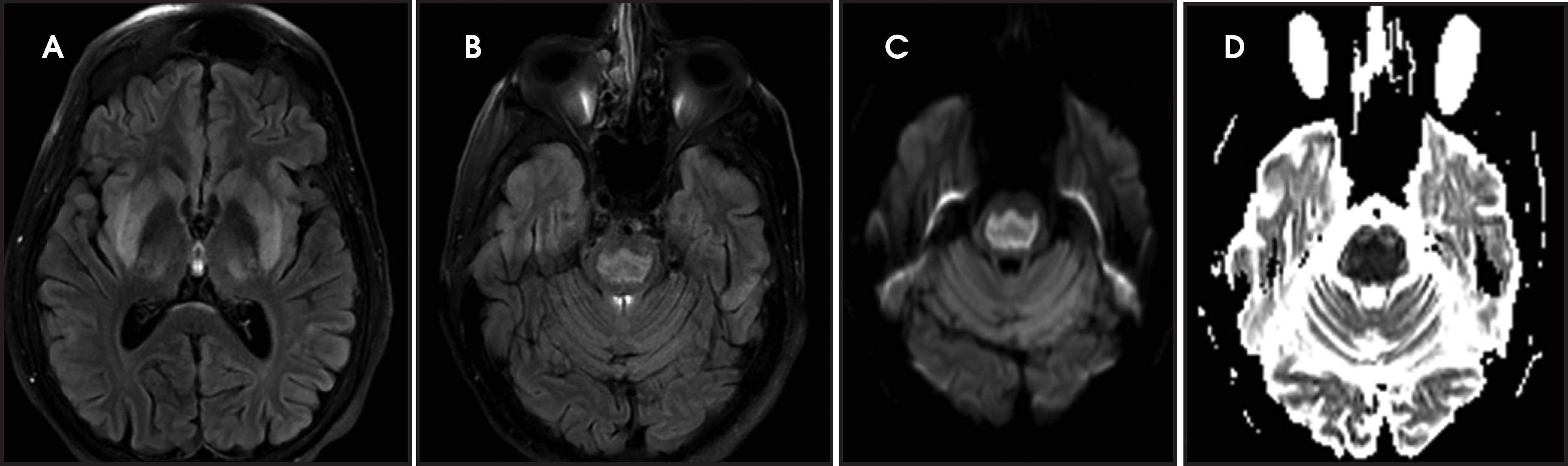 FIGURE 13.