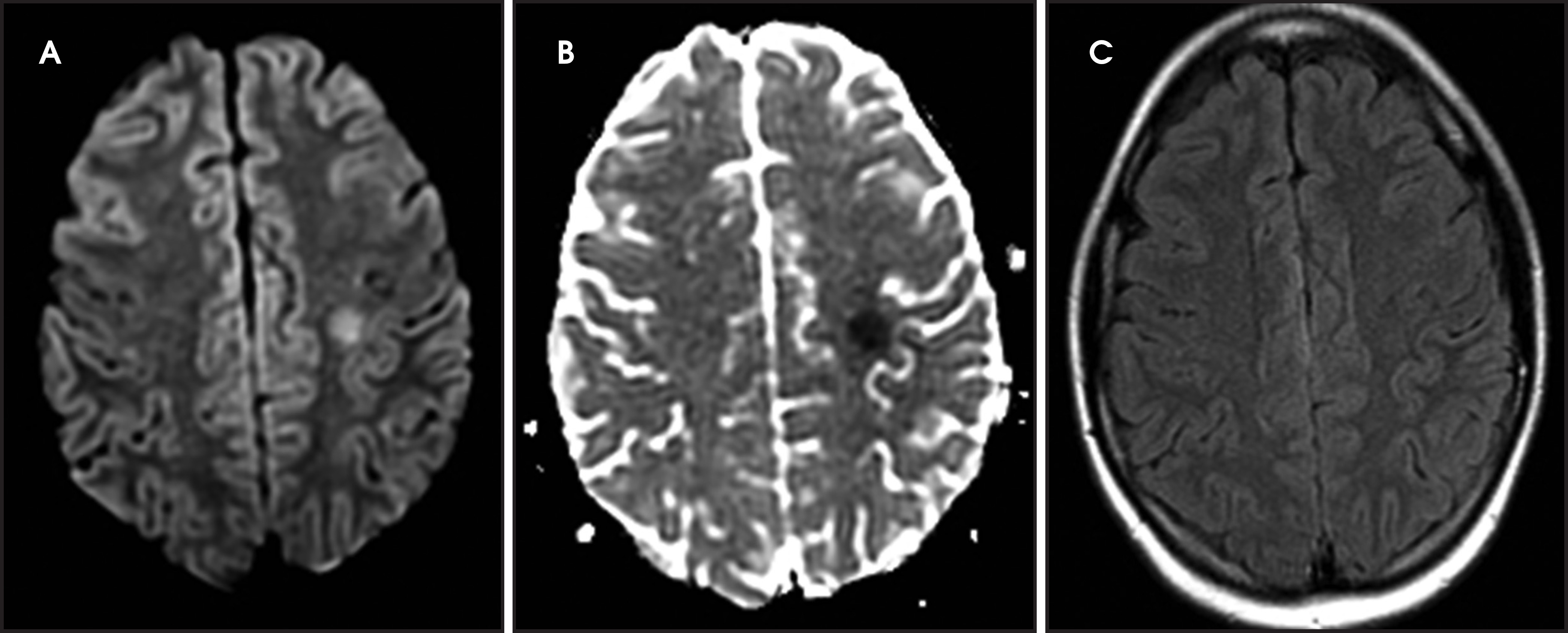 FIGURE 19.