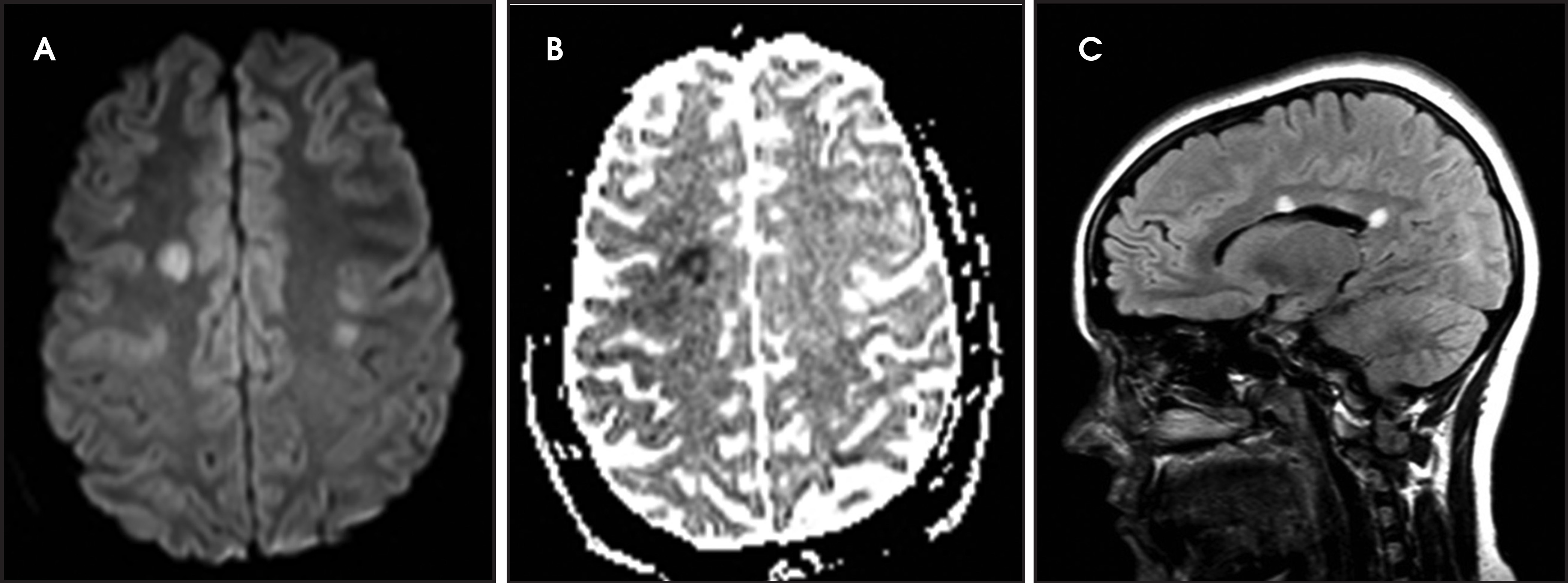 FIGURE 20.
