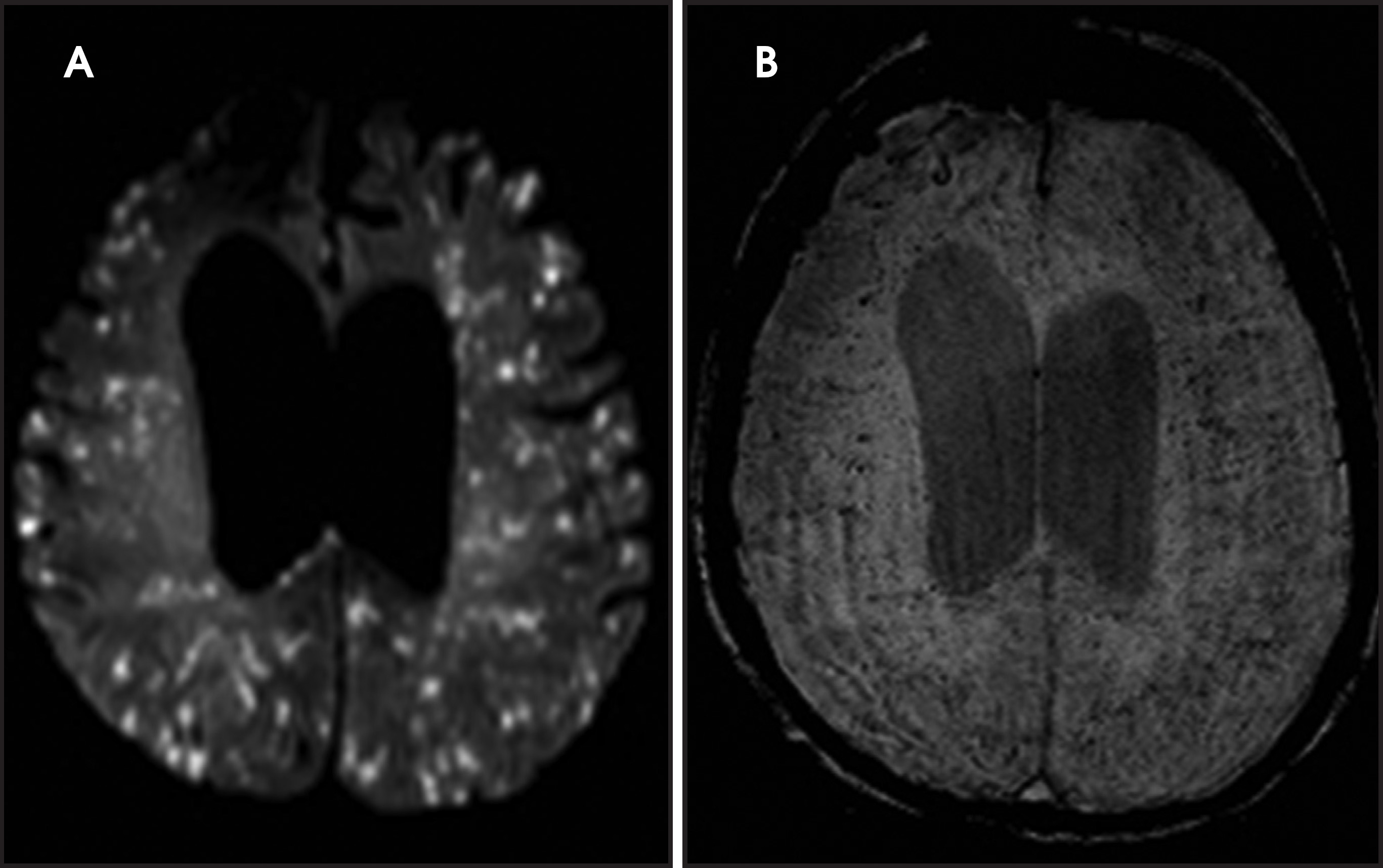 FIGURE 23.