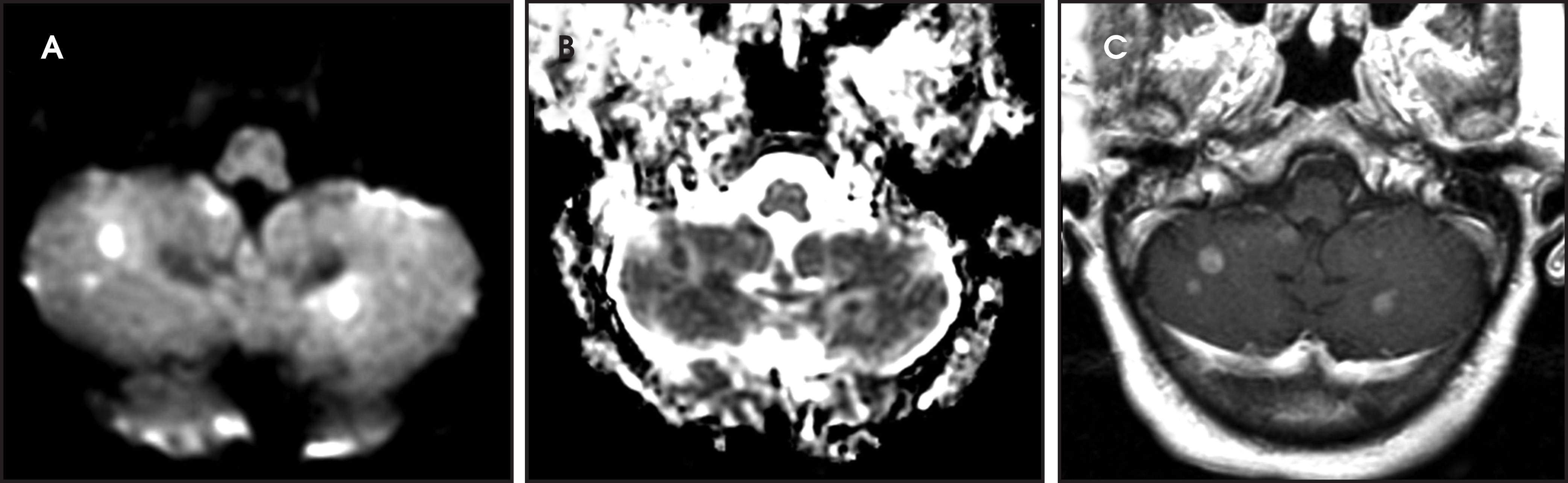 FIGURE 24.