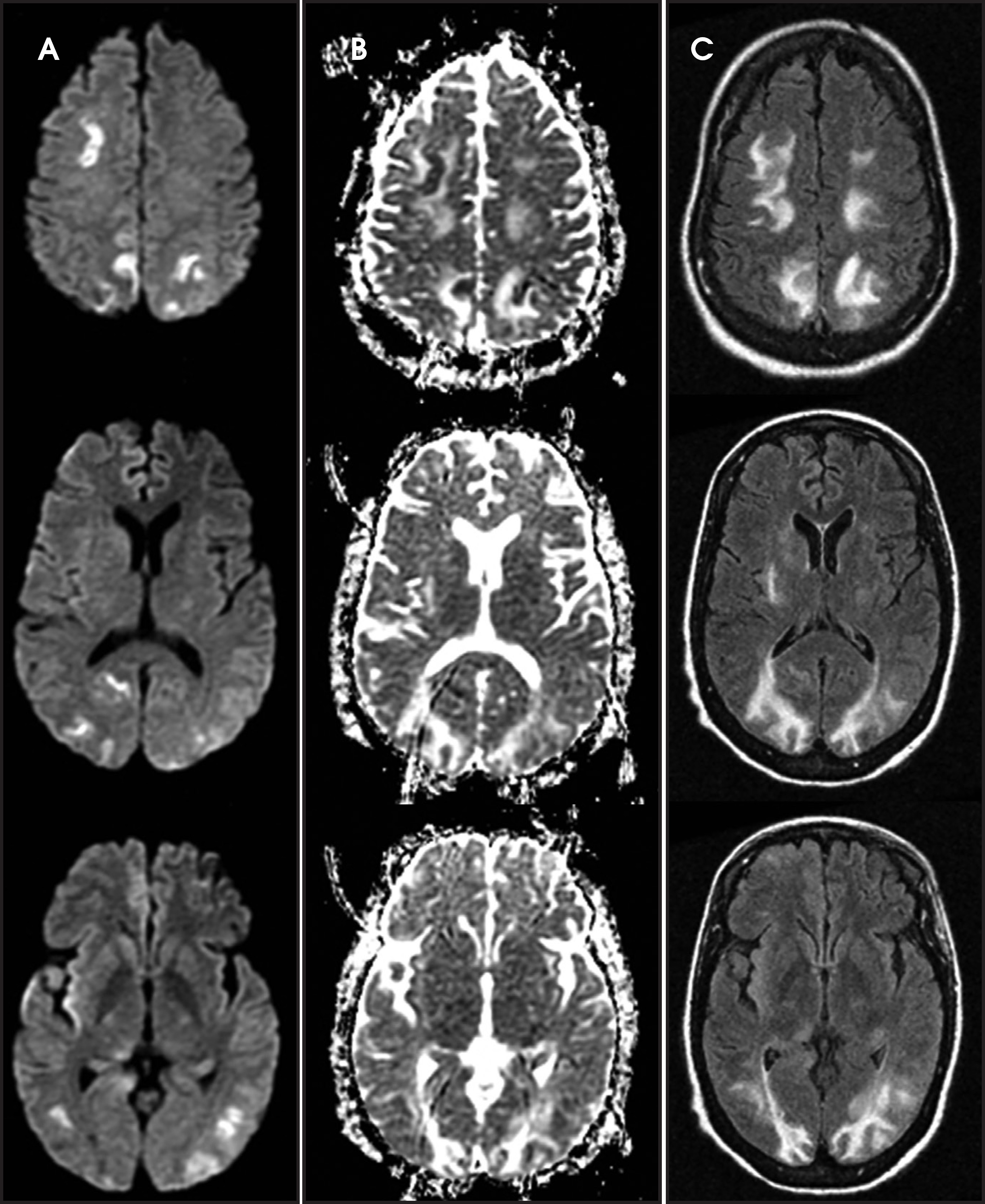 FIGURE 25.