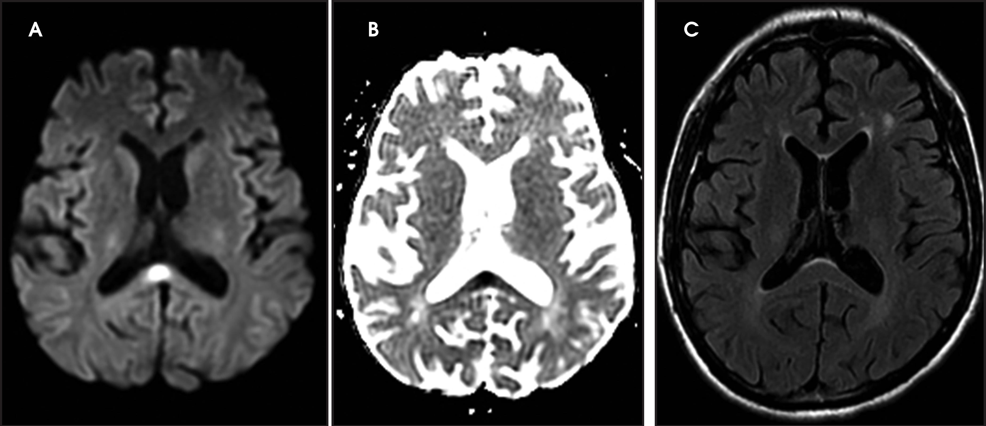 FIGURE 26.