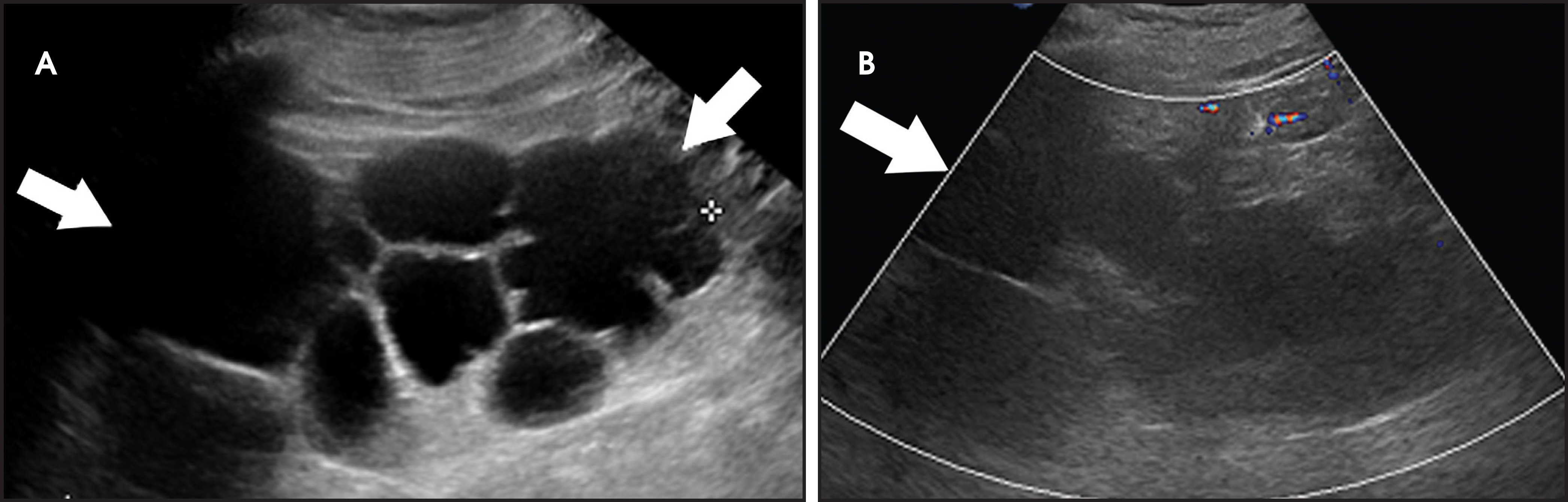 FIGURE 10.
