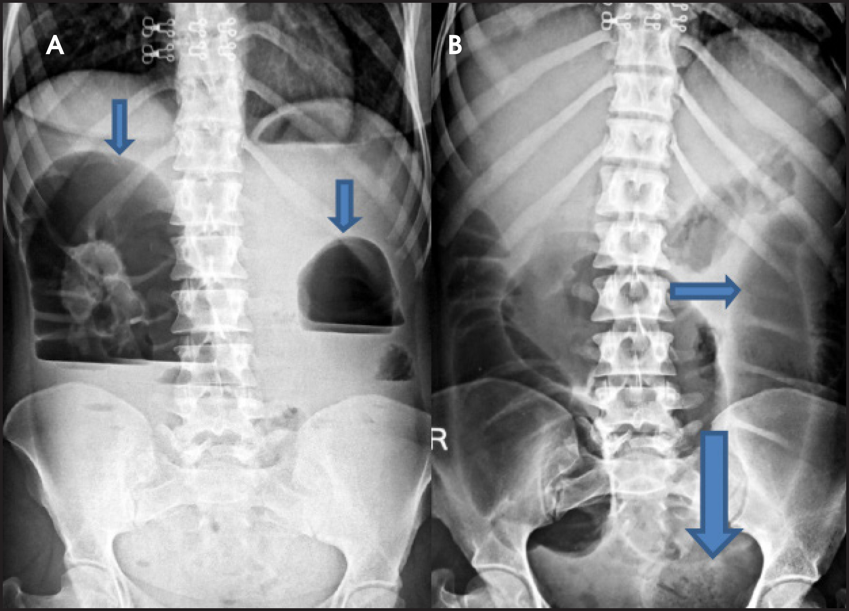 FIGURE 1.