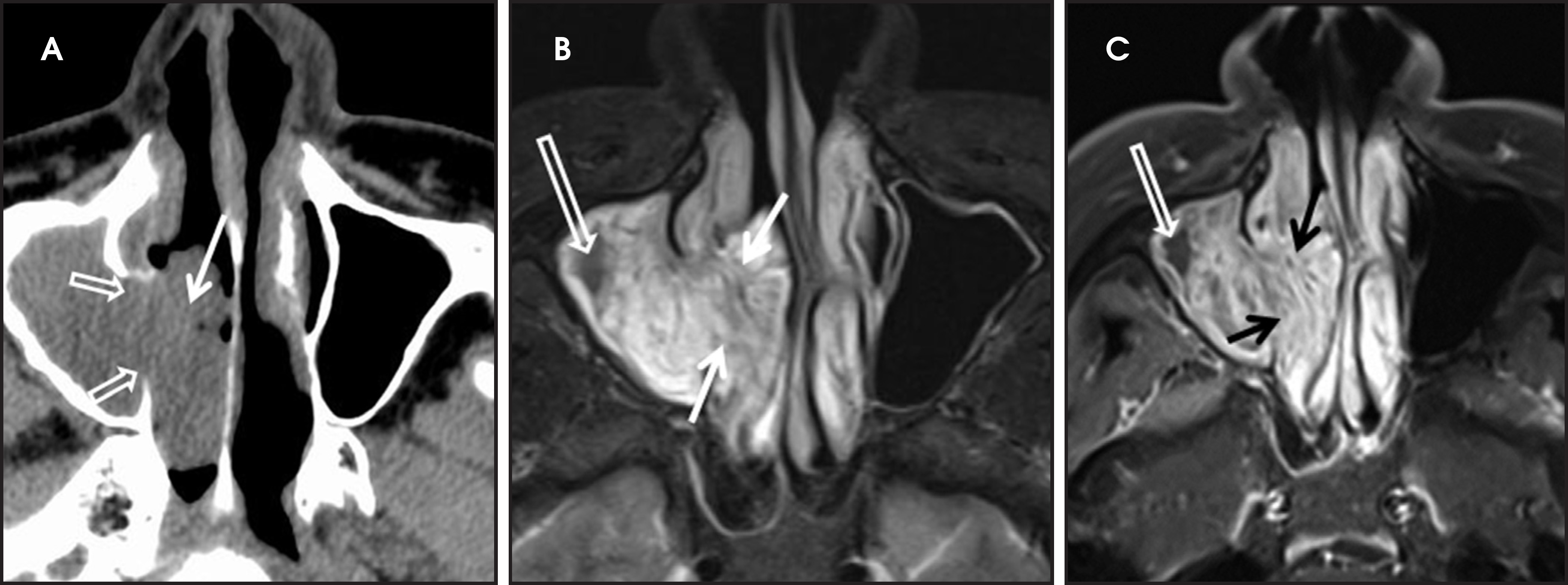 FIGURE 1.