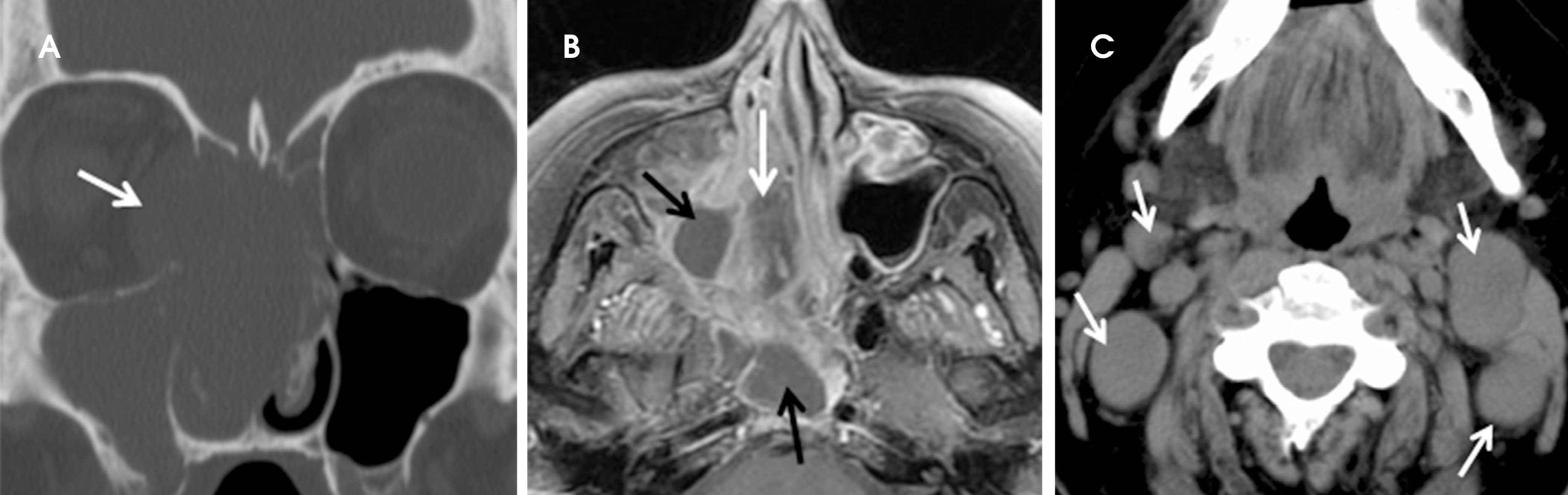 FIGURE 7.