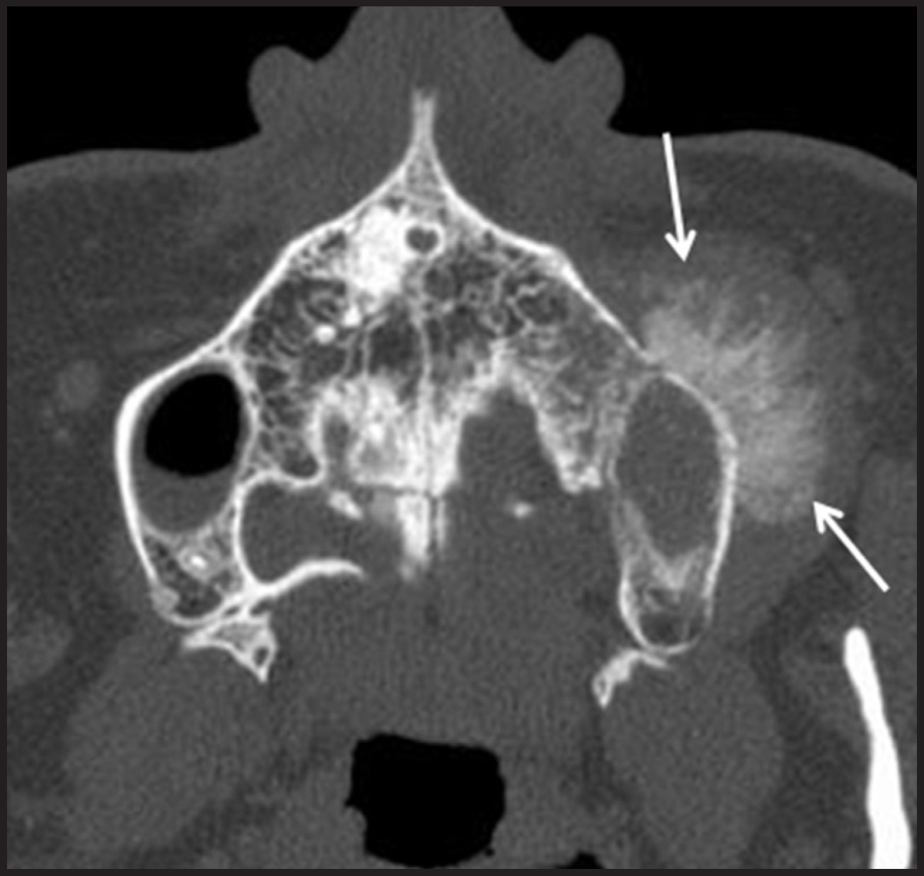 FIGURE 13.