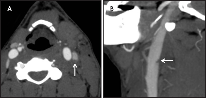FIGURE 10.