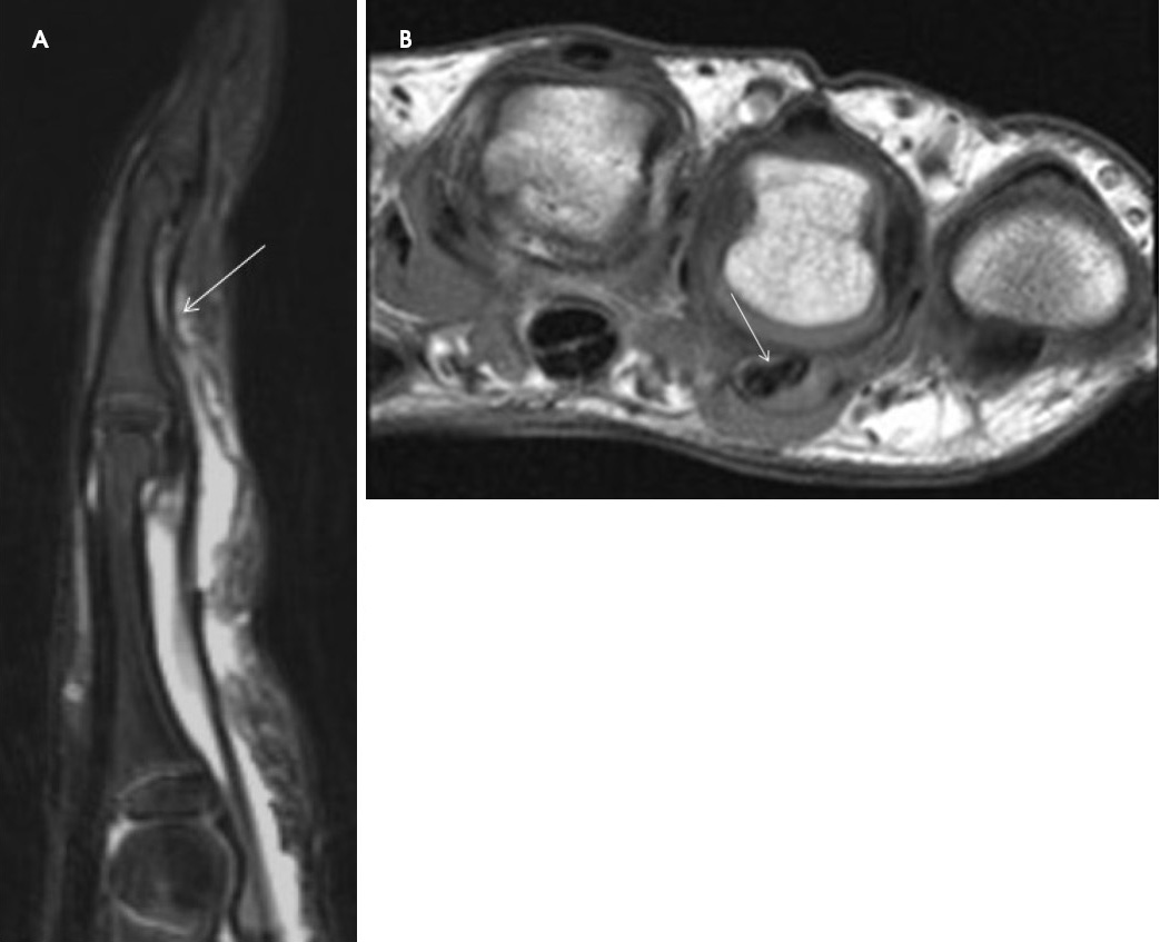 FIGURE 5.