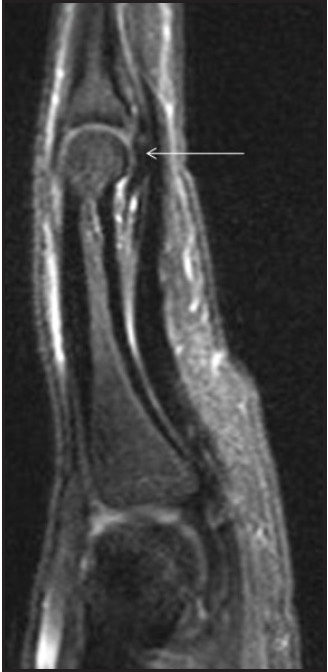 FIGURE 7.