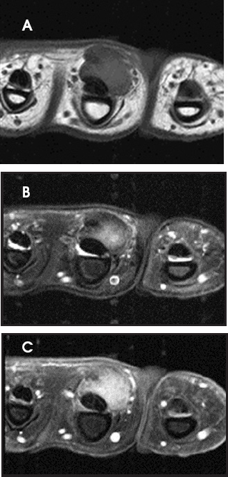 FIGURE 20.