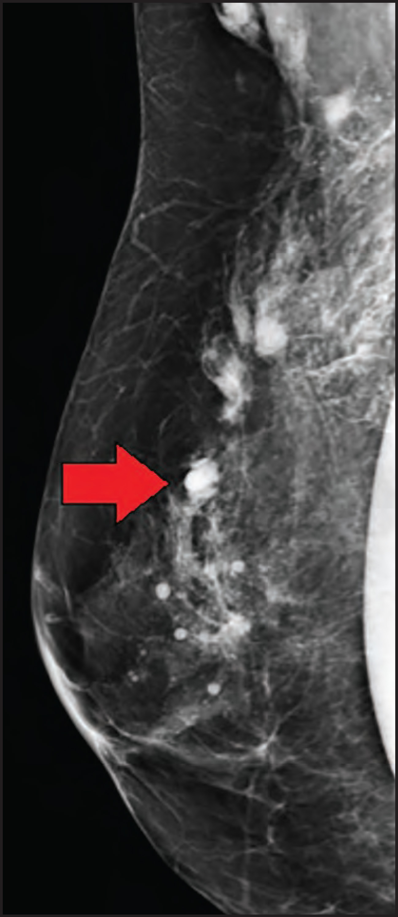 FIGURE 10.