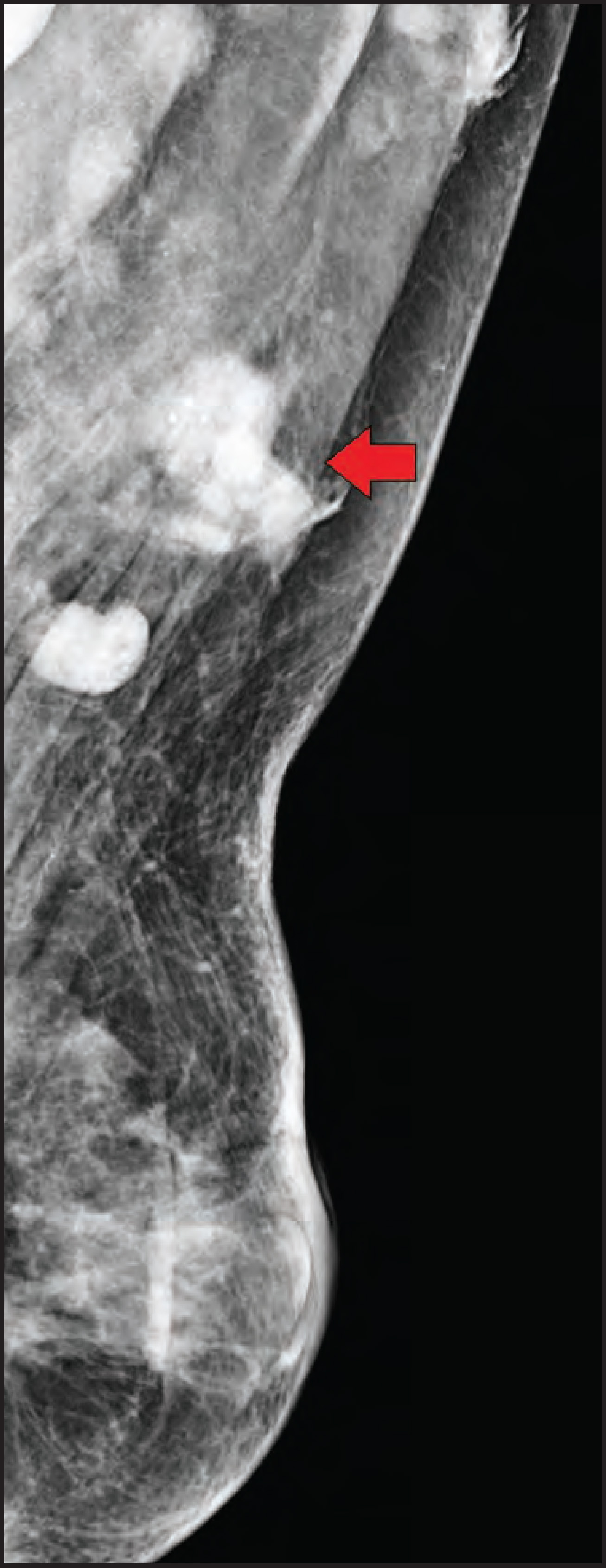 FIGURE 12.